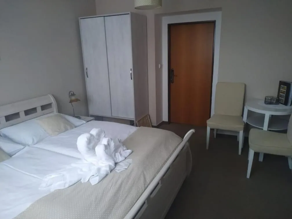 Standard Double Room - single occupancy in Hotel Panský dům
