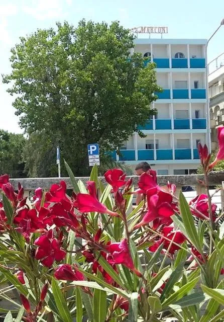 Hotel Spiaggia Marconi