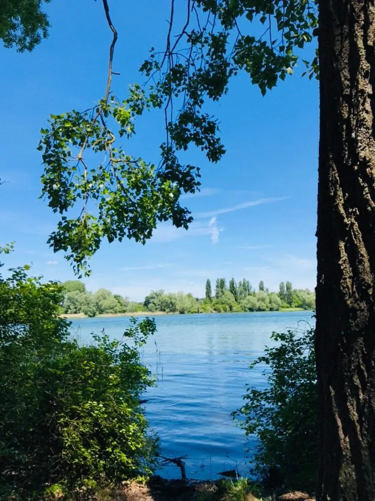 Natural landscape in Trompeterschlössle Hotel & Residence