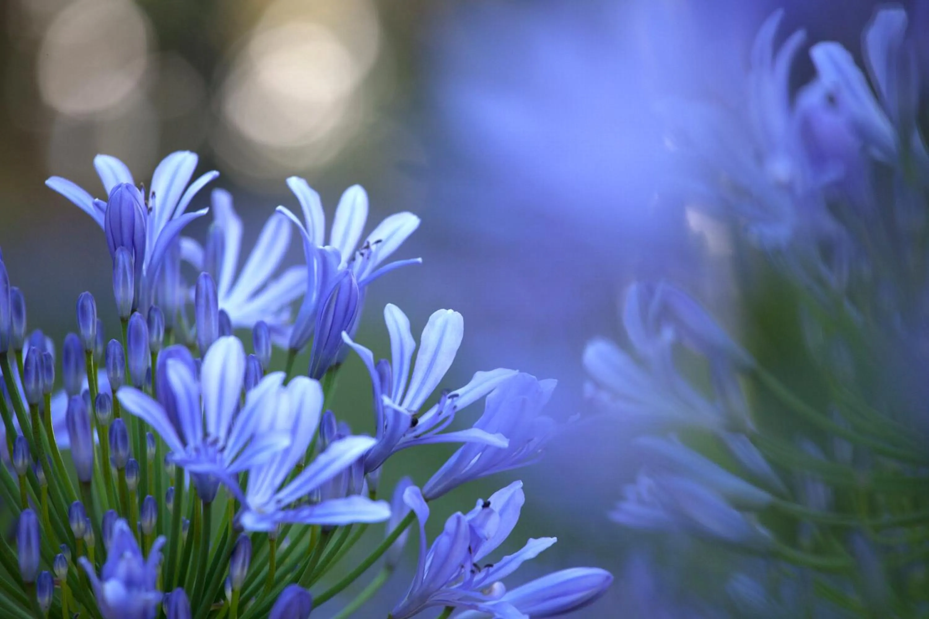 Summer in Villa della Pergola Relais et Chateaux