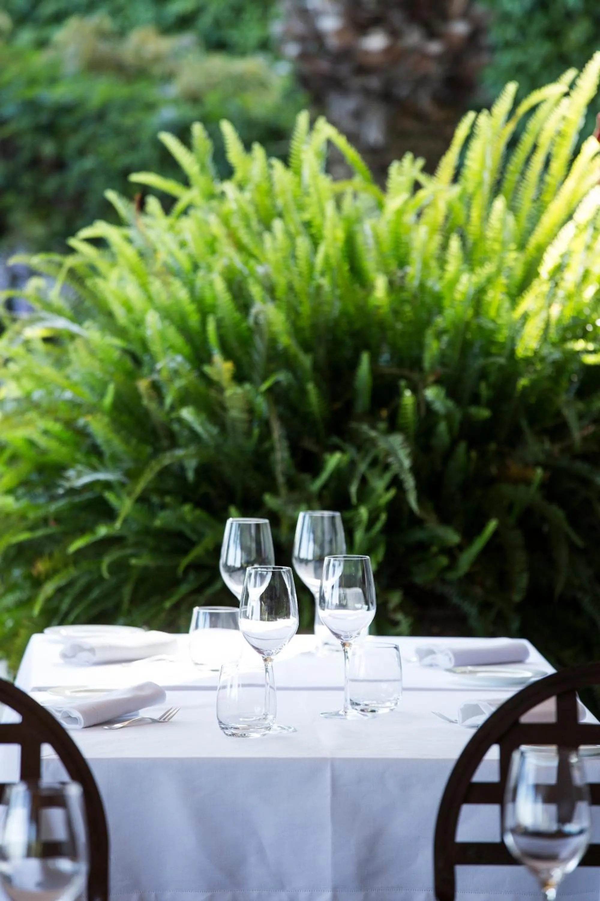 Restaurant/places to eat in Villa della Pergola Relais et Chateaux