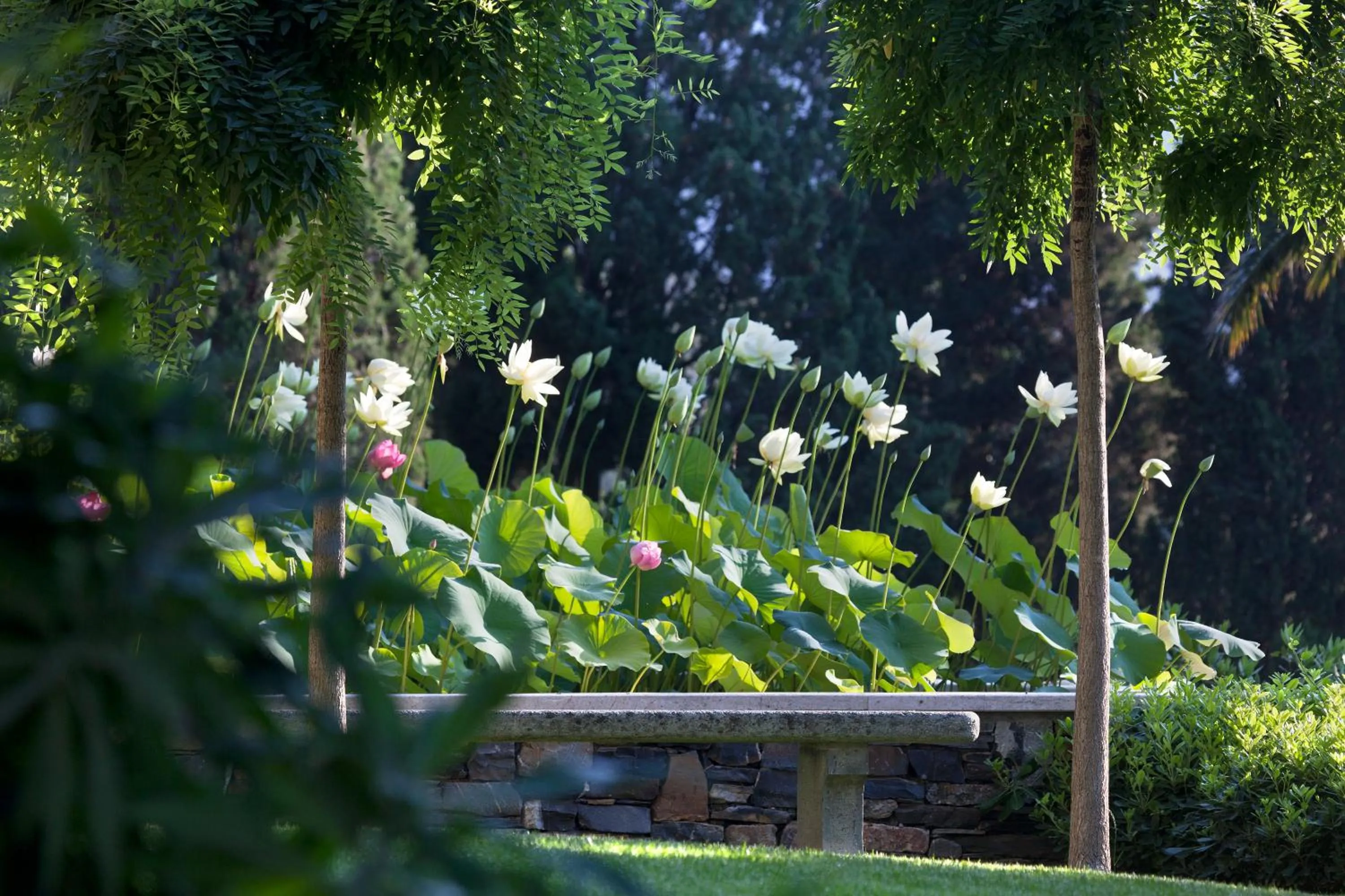 Summer in Villa della Pergola Relais et Chateaux