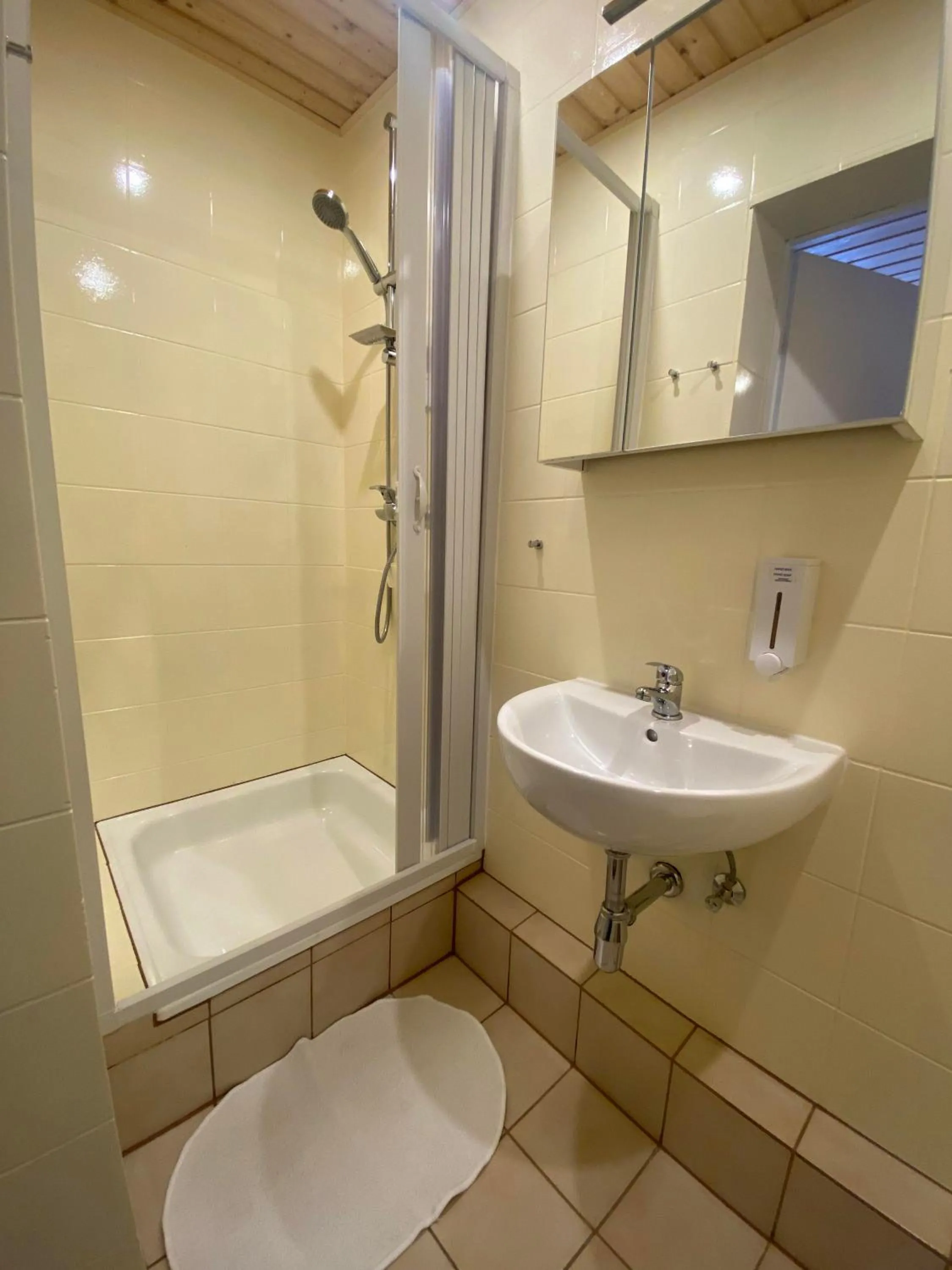 Shower in Pension Julia