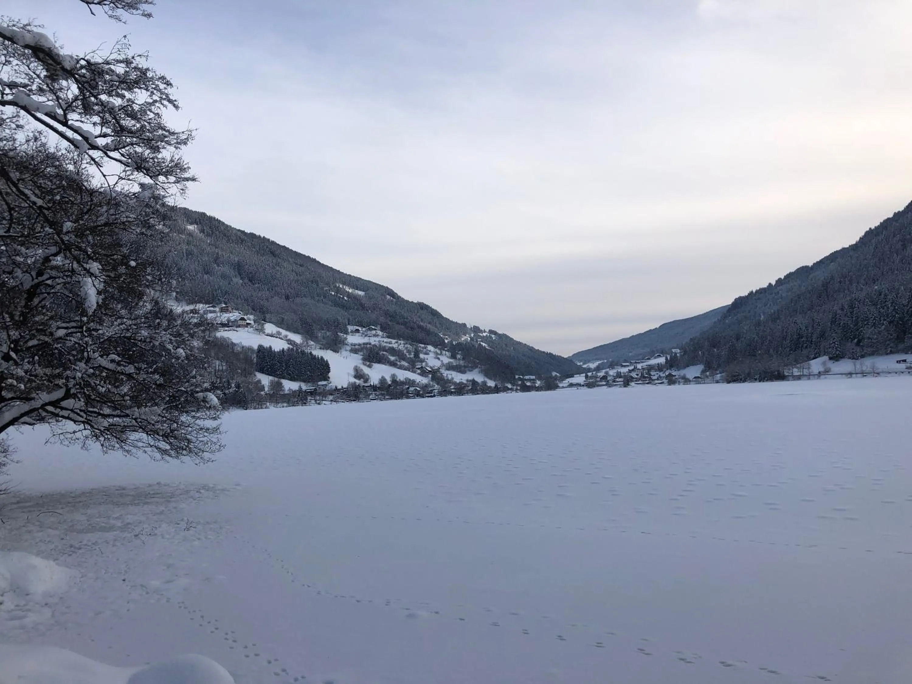 Natural landscape in Pension Julia