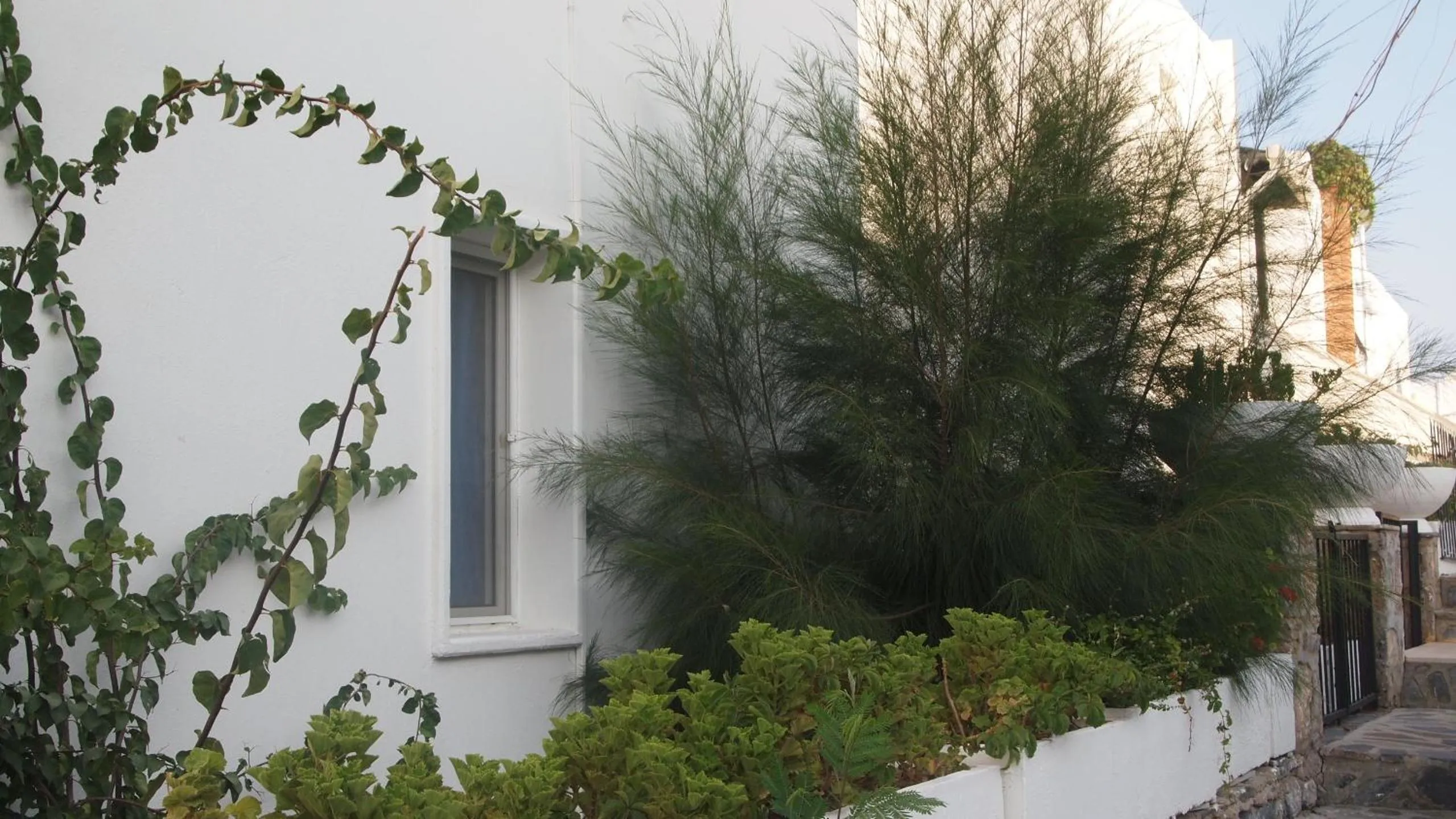 Facade/entrance in Emelce Apart