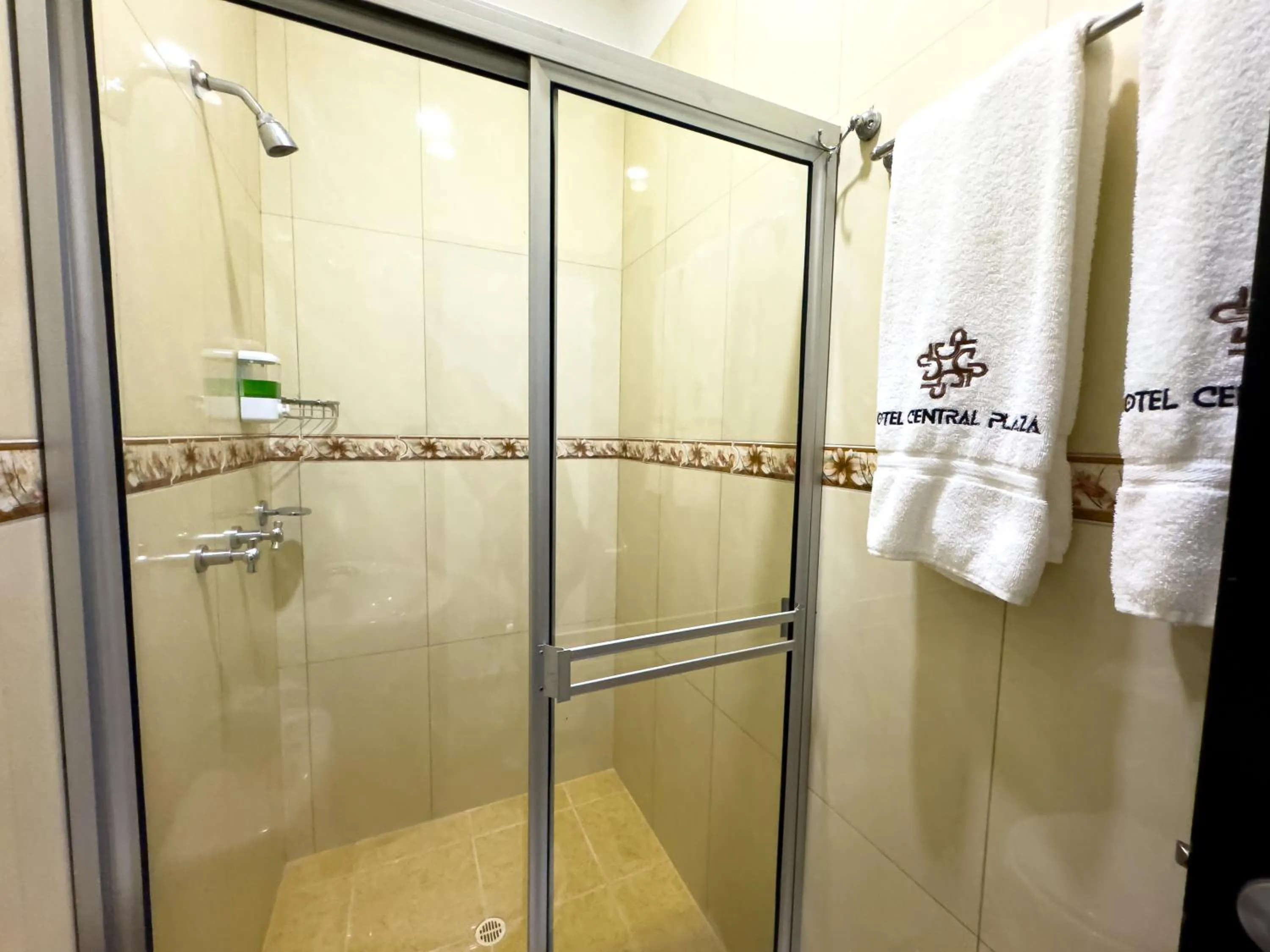 Shower in Hotel Central Plaza Medellin