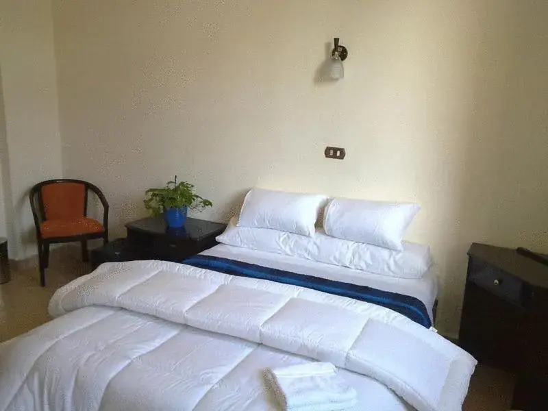 Bedroom, Bed in Transit Alexandria Hostel Bedroom, Bed in Transit Alexandria Hostel