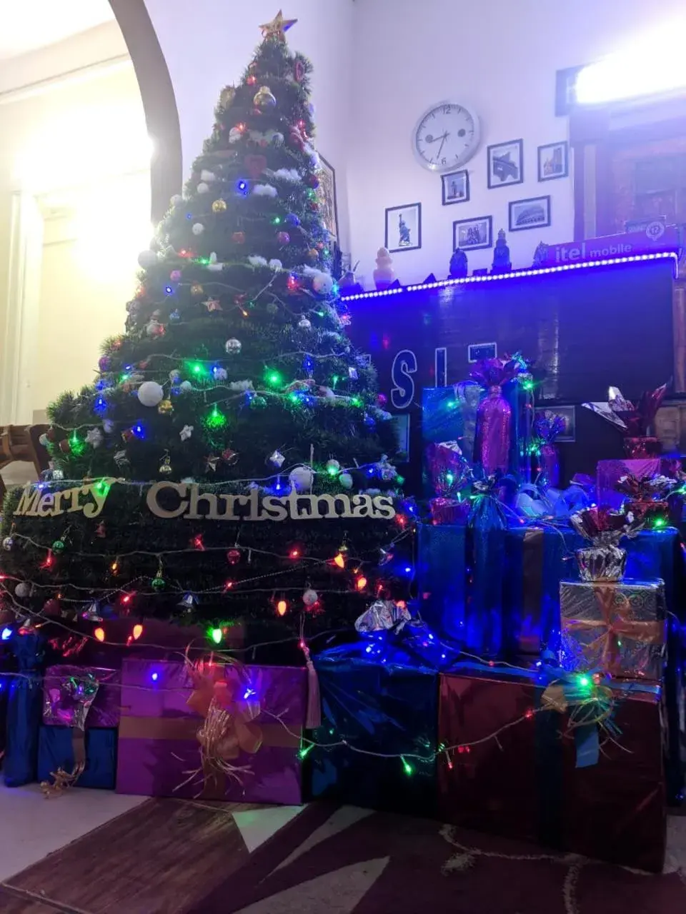 Transit Alexandria Hostel Transit Alexandria Hostel