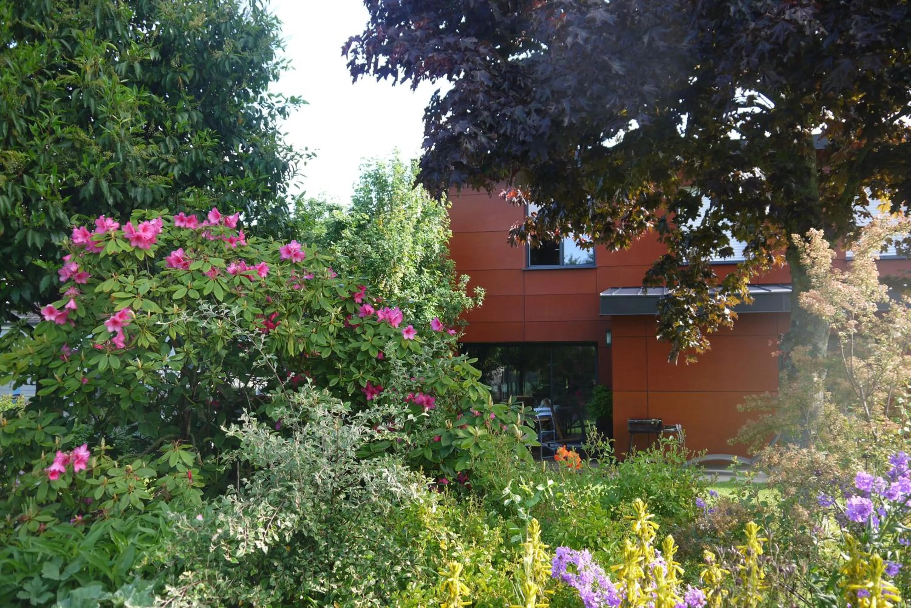 Garden in Ch. d'hôtes de la Saliais