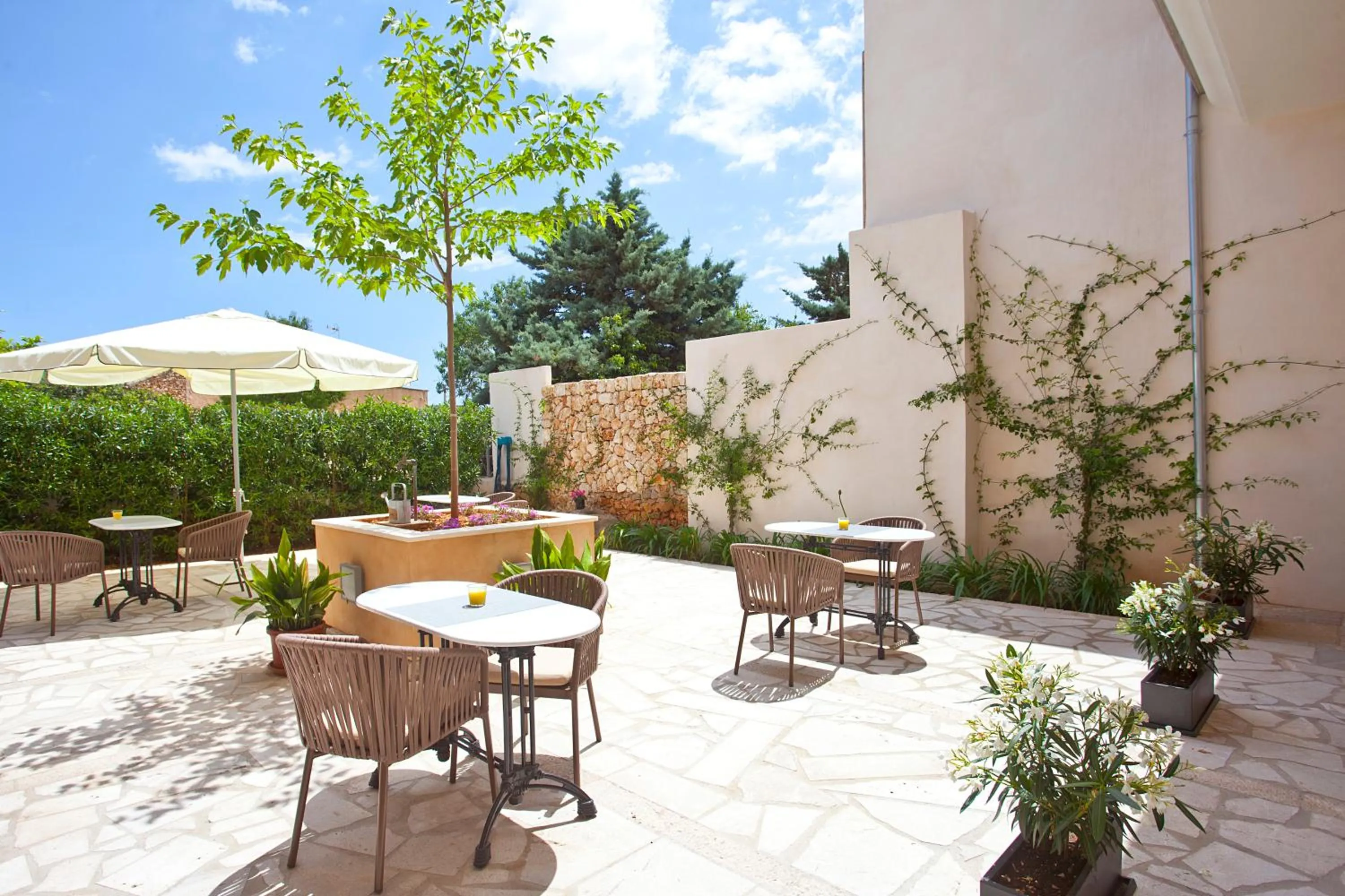 Patio in Boutique Hotel Petit Sant Miquel