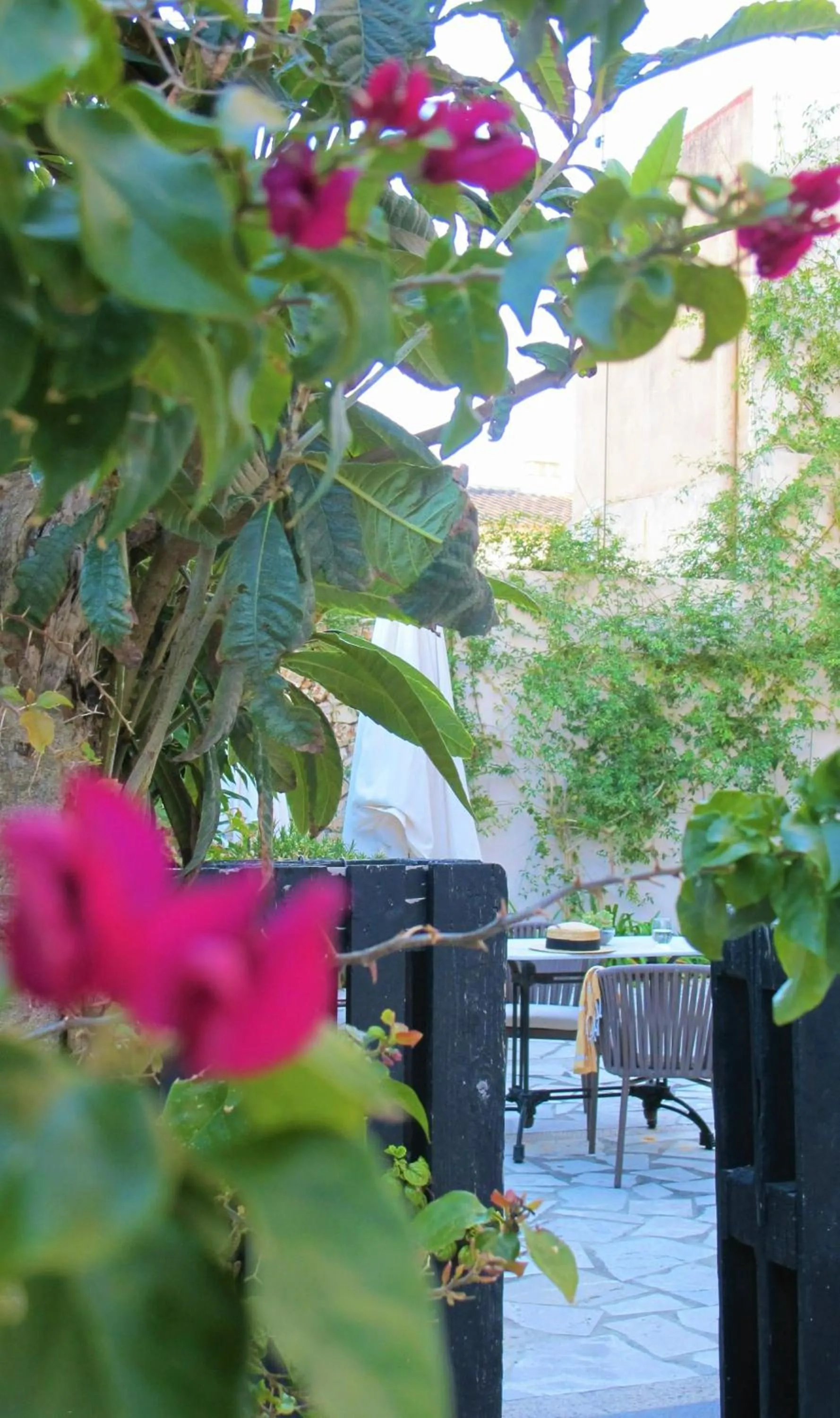 Patio in Boutique Hotel Petit Sant Miquel