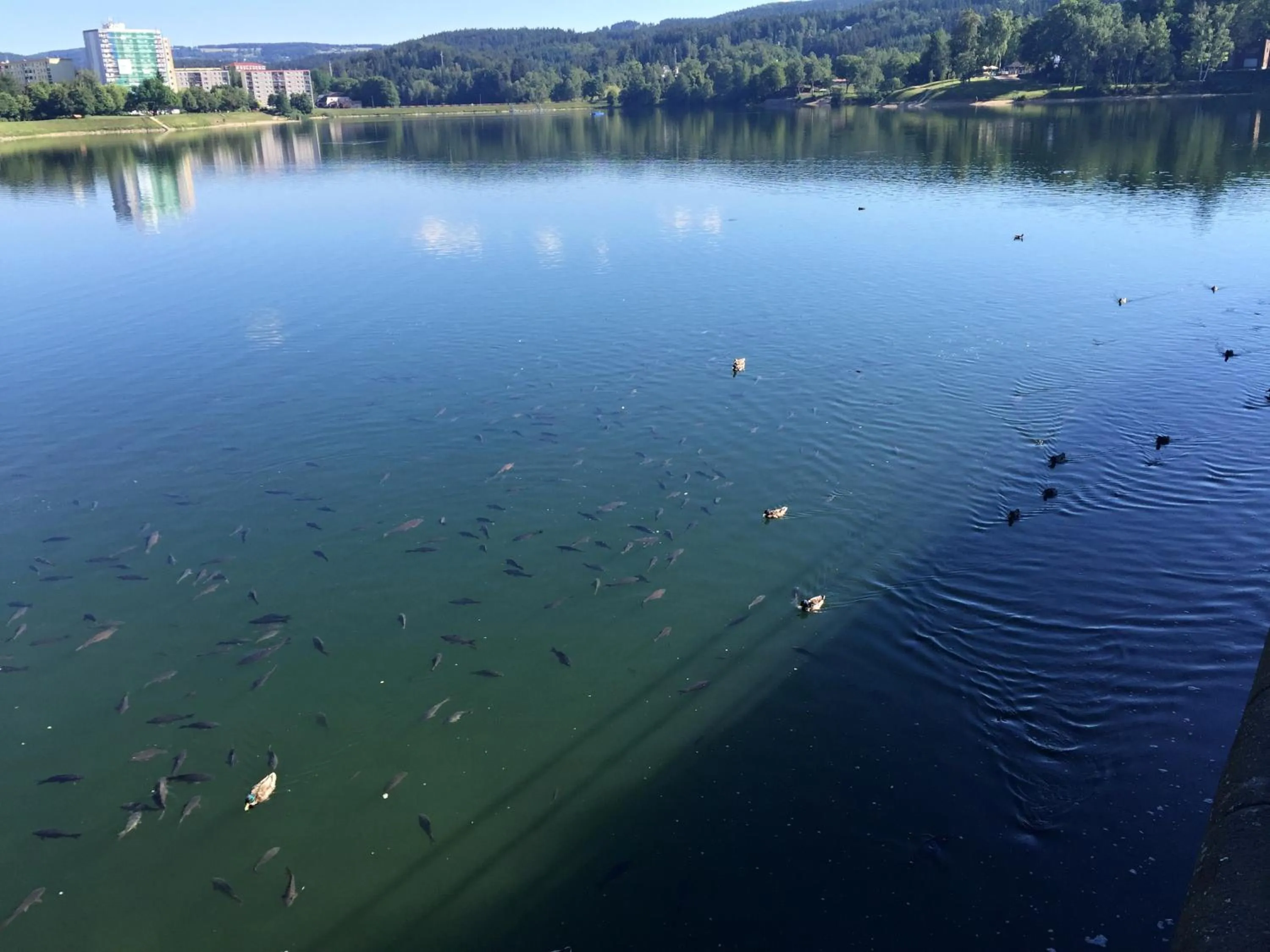 Fishing in Apart Hotel Jablonec