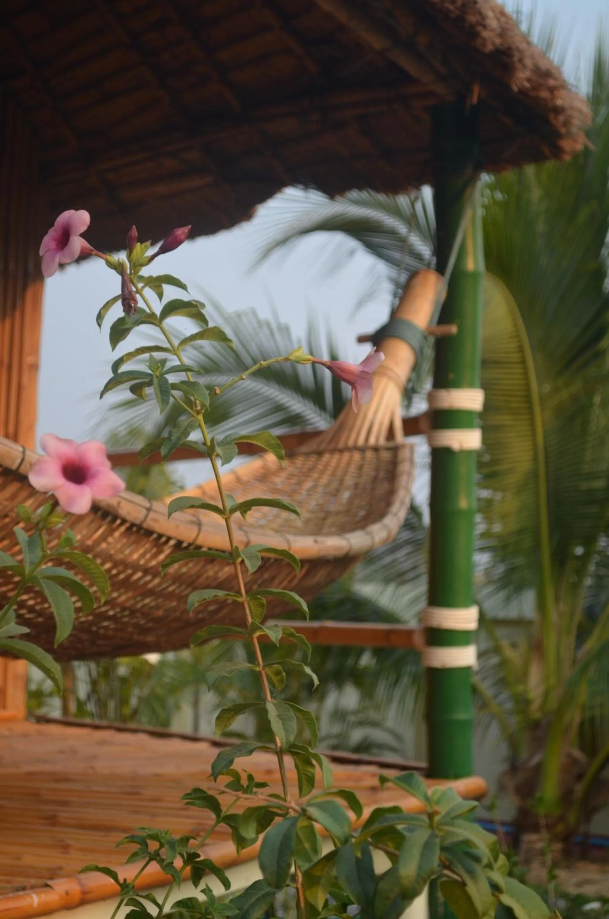 BBQ facilities in The Orchid Resort & Relax