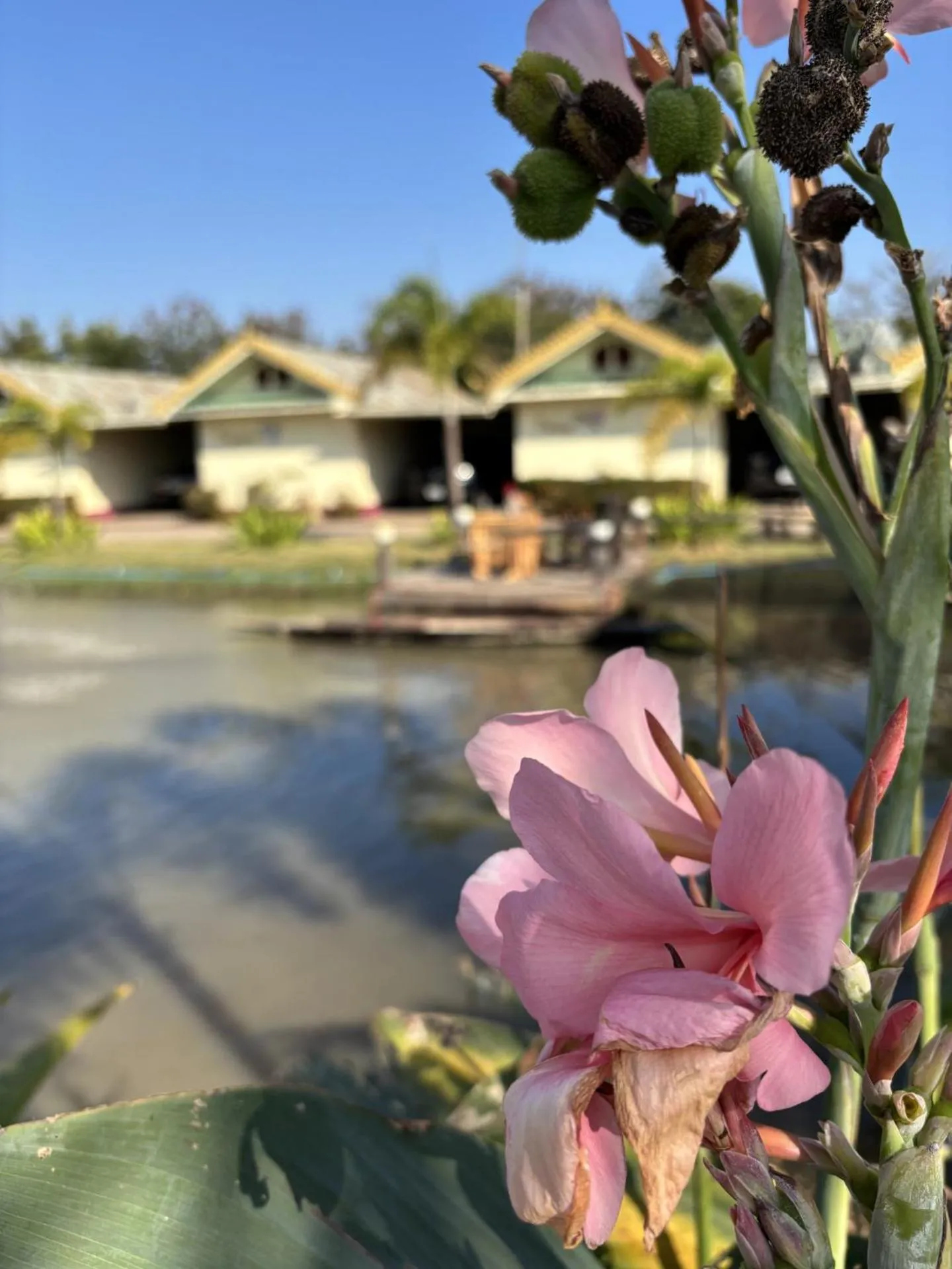 Lake view in The Orchid Resort & Relax