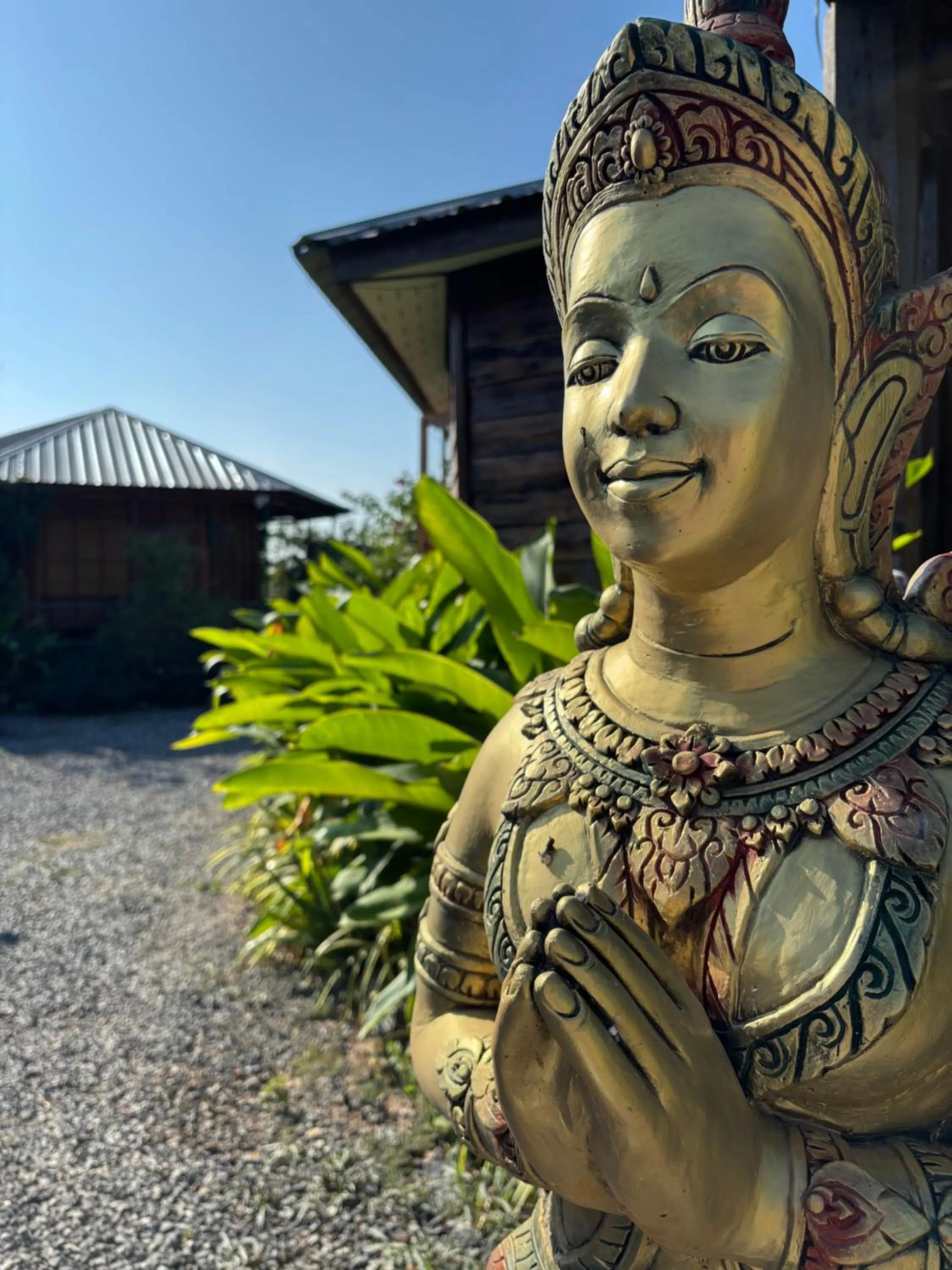 Garden in The Orchid Resort & Relax