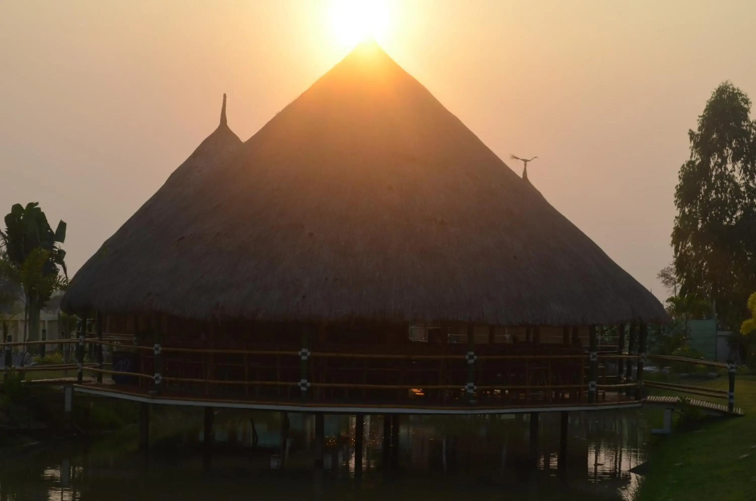 Restaurant/places to eat in The Orchid Resort & Relax Restaurant/places to eat in The Orchid Resort & Relax