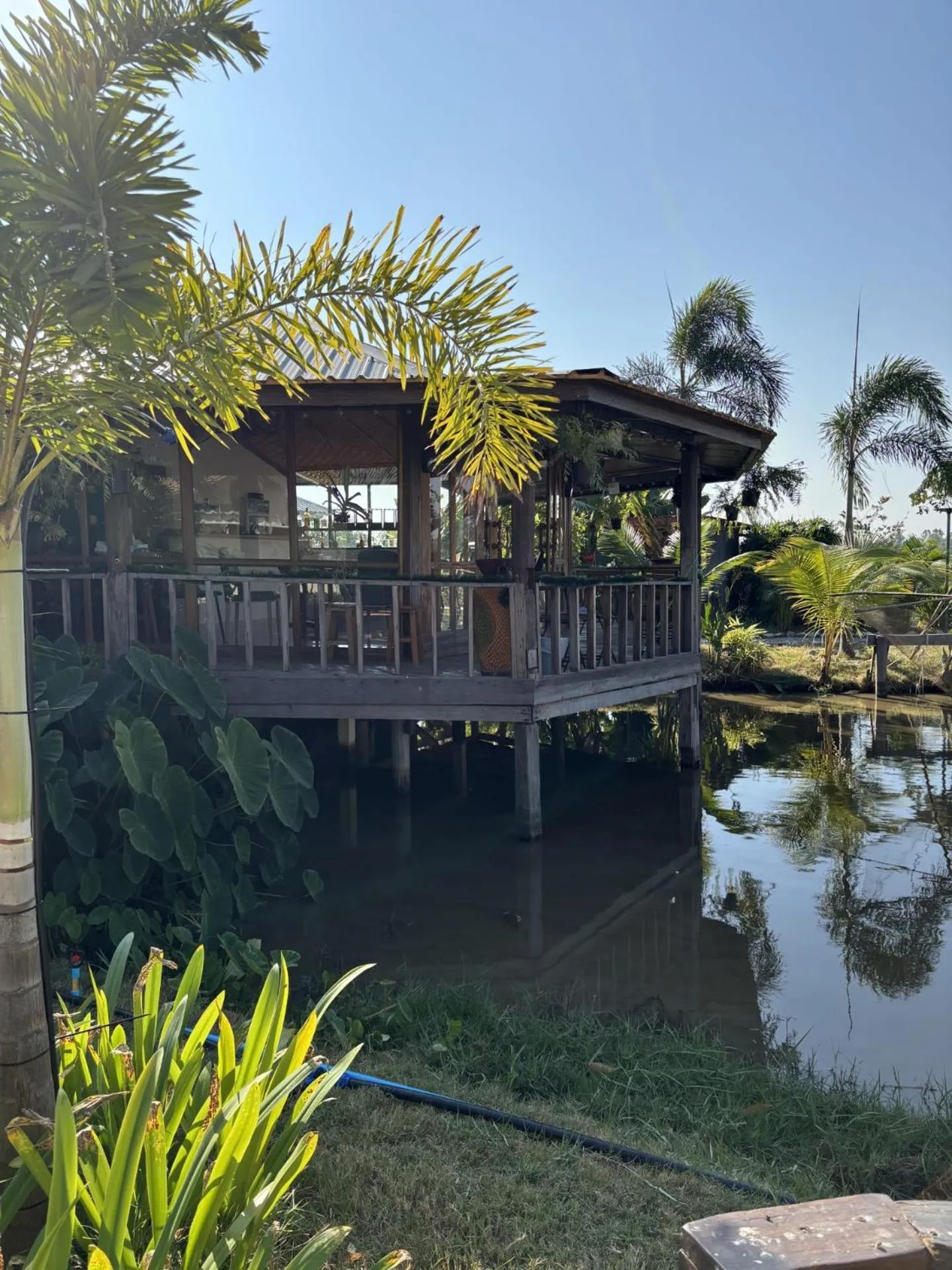 Garden in The Orchid Resort & Relax