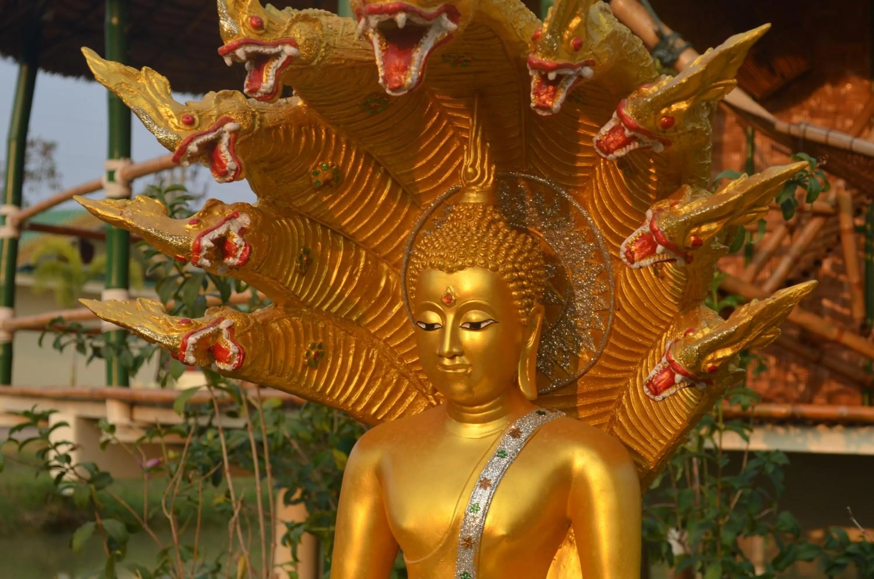 Other in The Orchid Resort & Relax