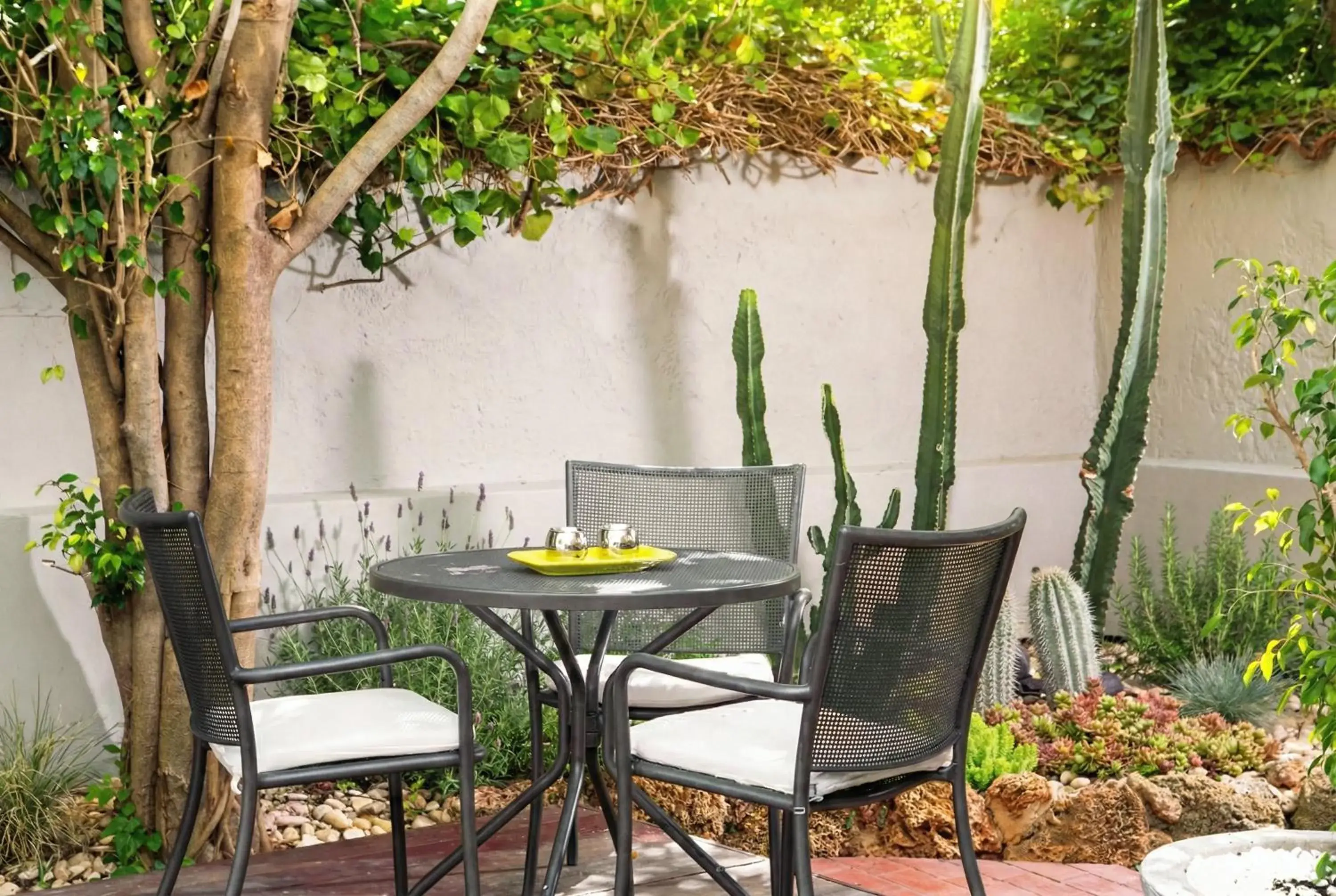 Restaurant/places to eat in AQUAMARE CITY and BEACH Restaurant/places to eat in AQUAMARE CITY and BEACH