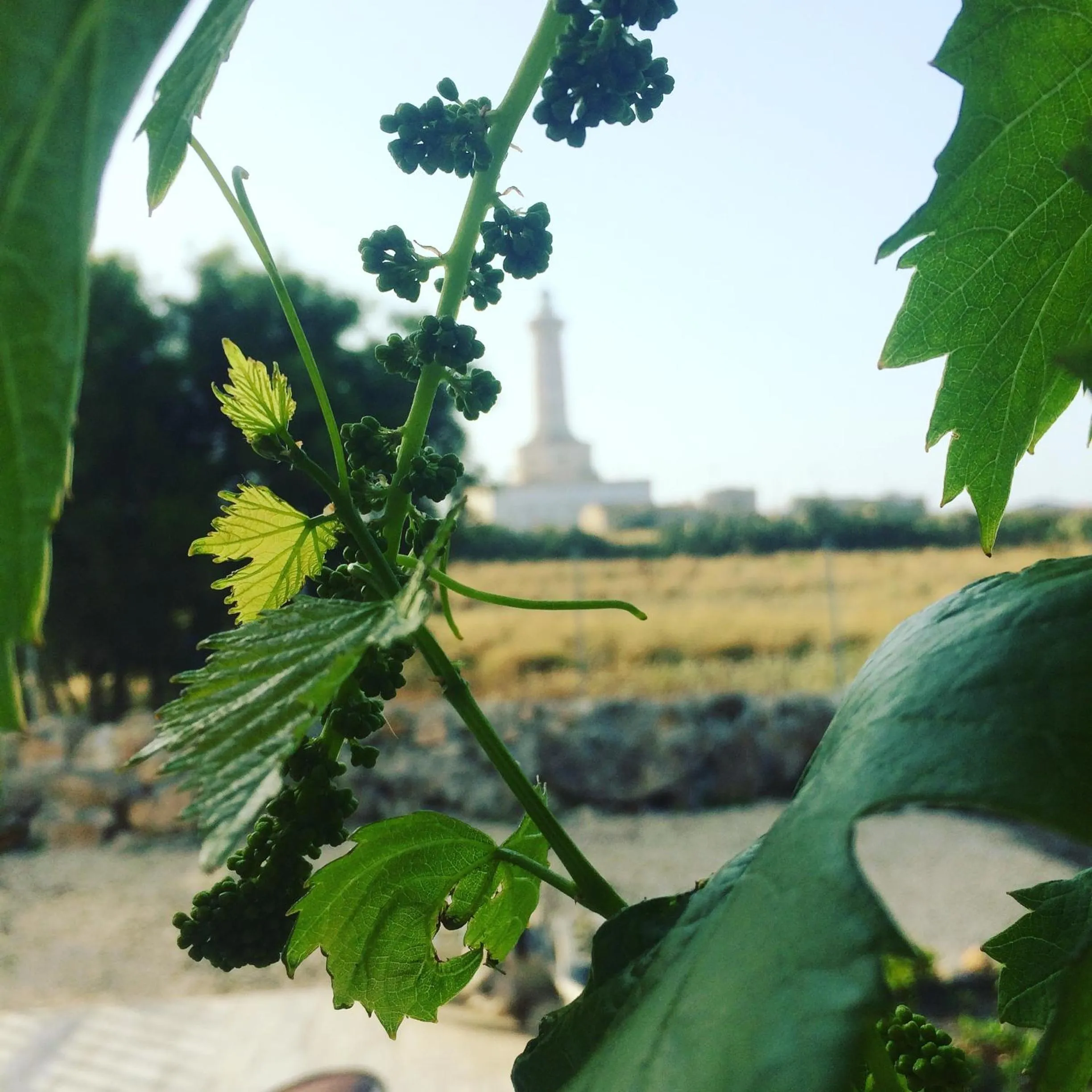 B&B Casa del Faro SanVallero Adults Only