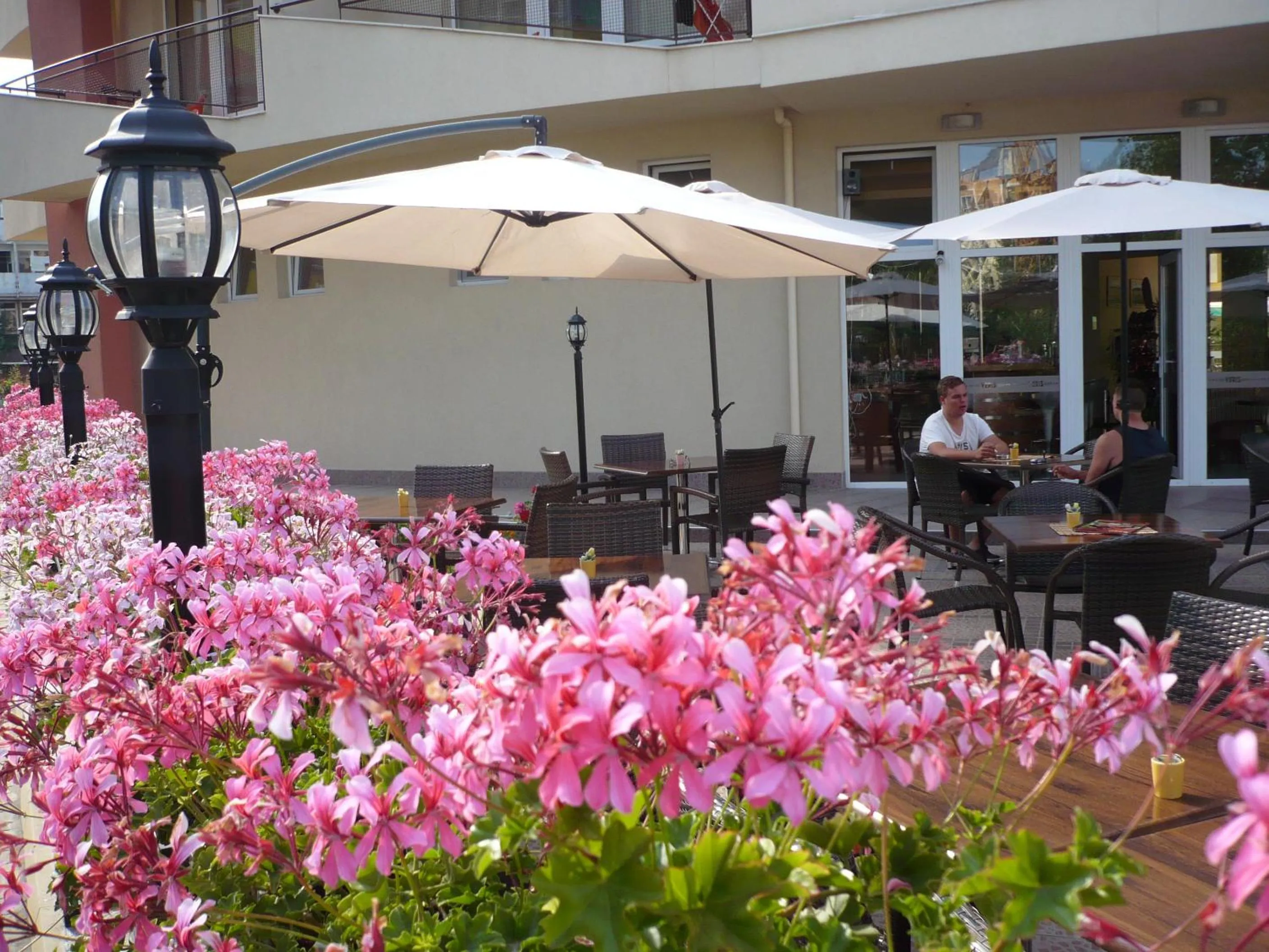 Garden in Hotel Veris