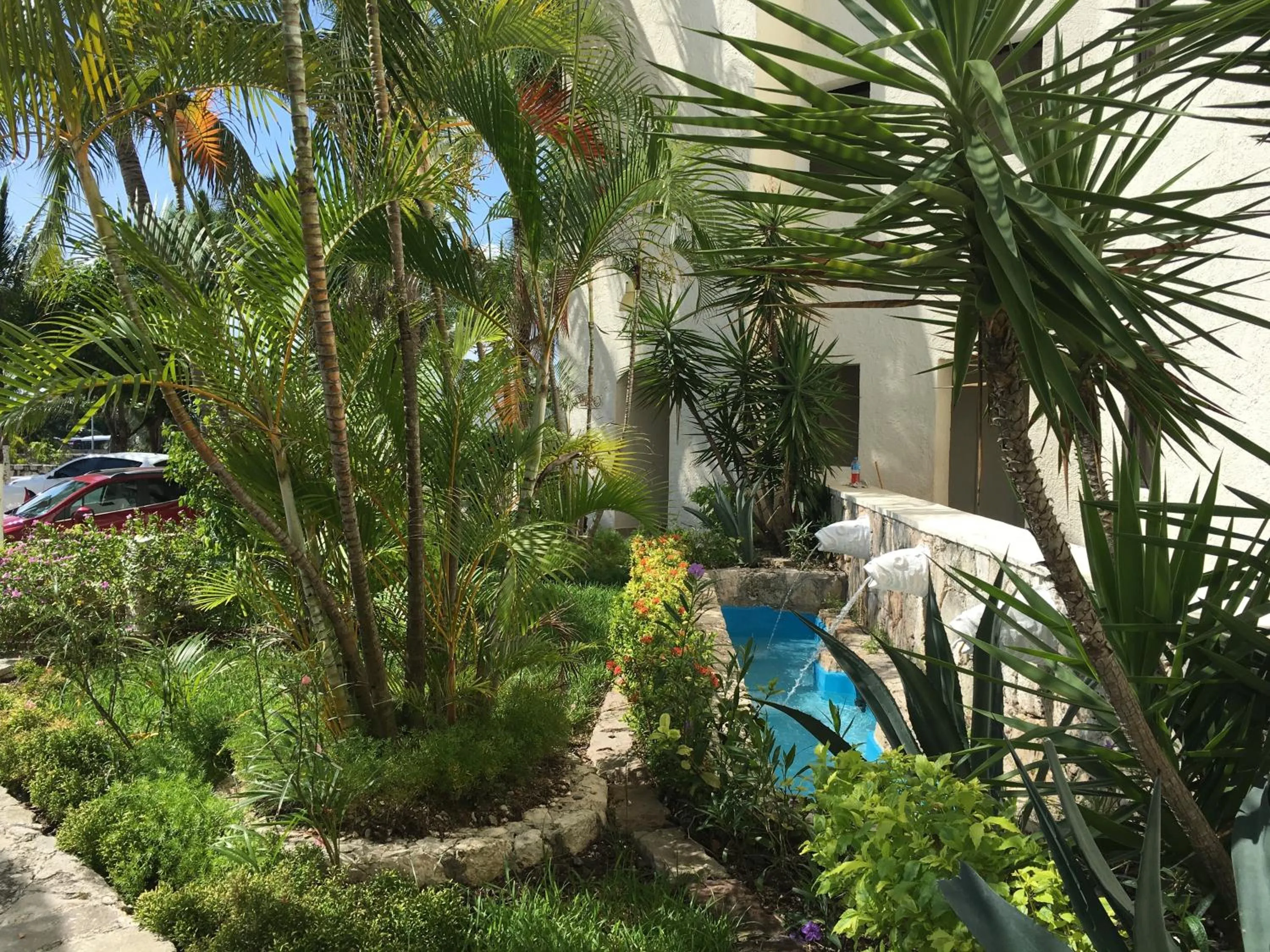 Garden in Cancun Plaza - Best Beach