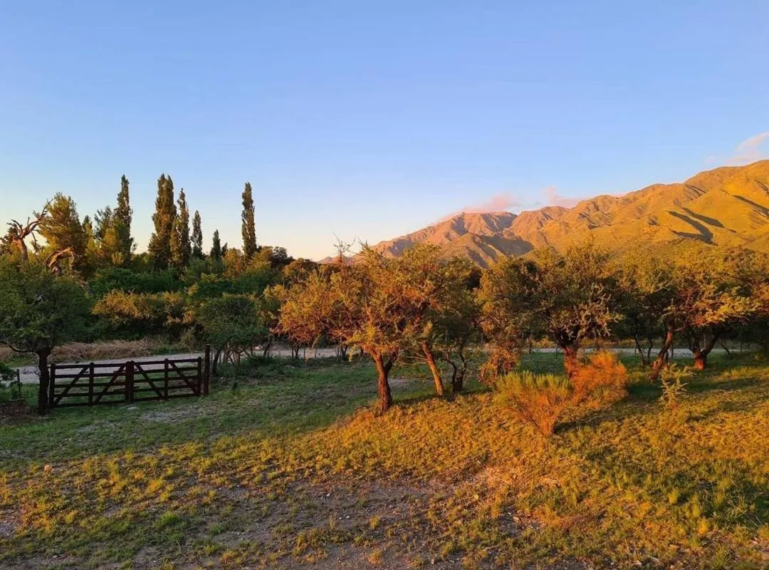 Cabañas Toay Merlo San Luis