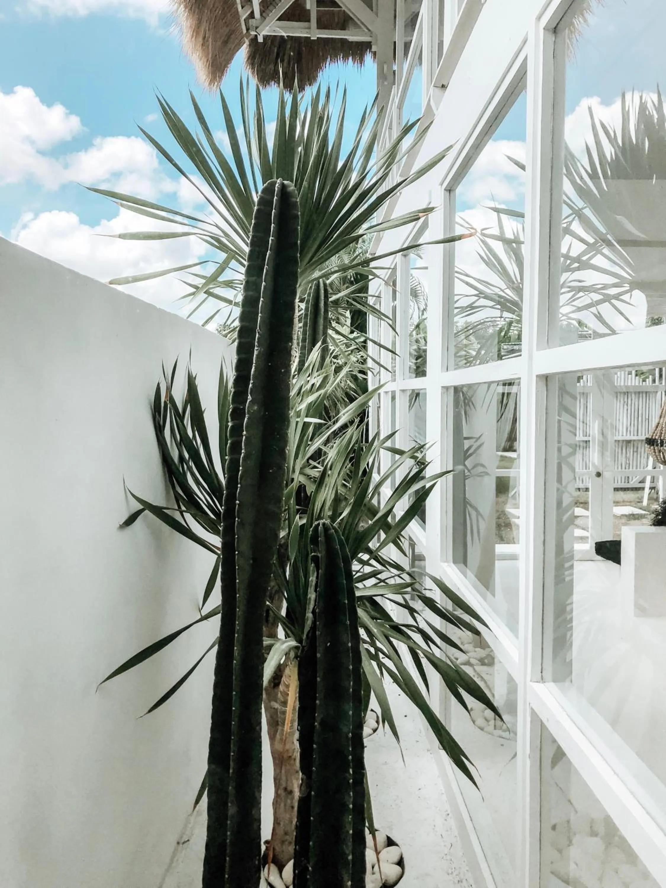 Bedroom in White Palm Hotel Uluwatu Bali