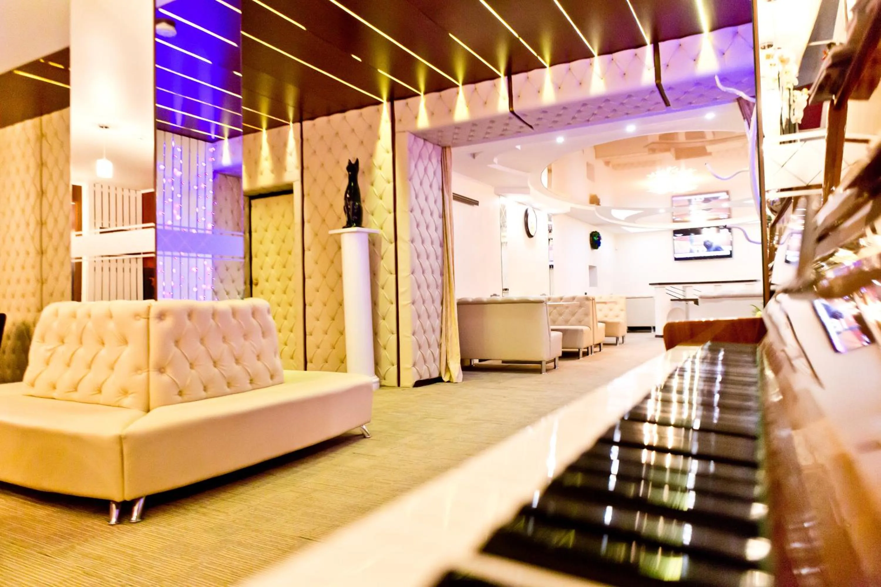 Communal lounge/ TV room in Hotel Olsi