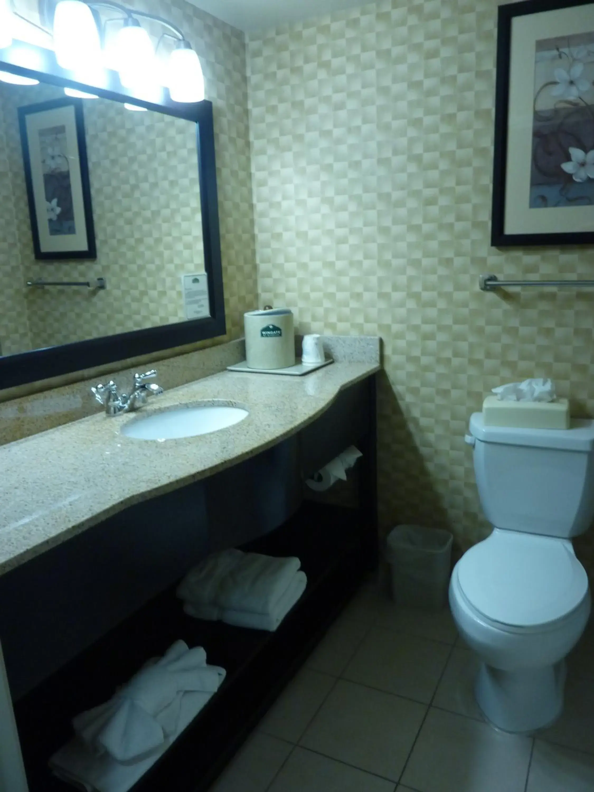 Bathroom in Wingate by Wyndham Erlanger - Florence - Cincinnati South Bathroom in Wingate by Wyndham Erlanger - Florence - Cincinnati South