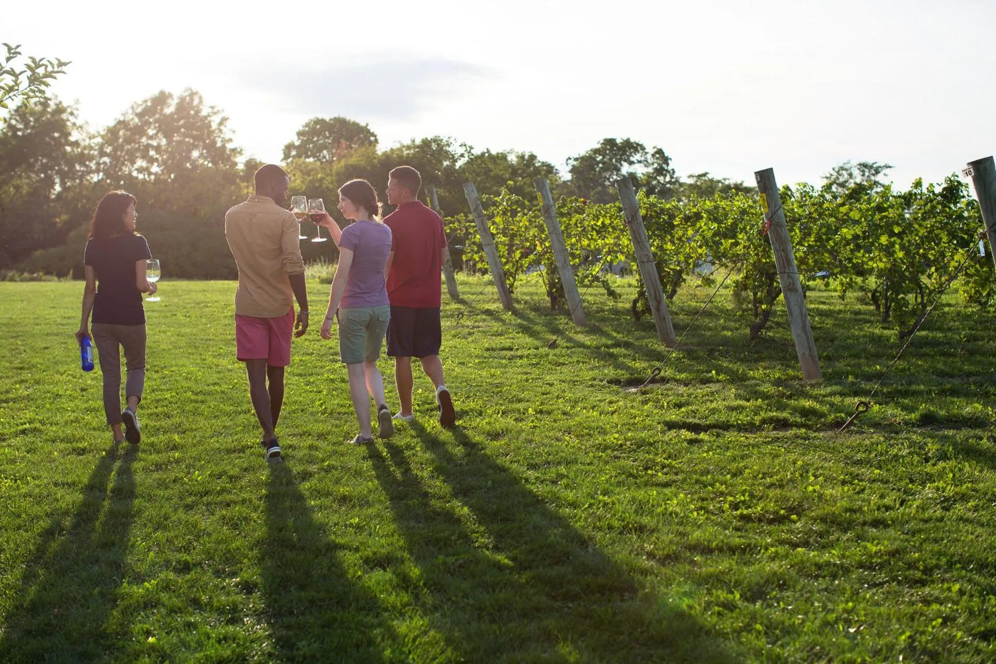 Area and facilities in Niagara Riverside Resort; BW Premier Collection