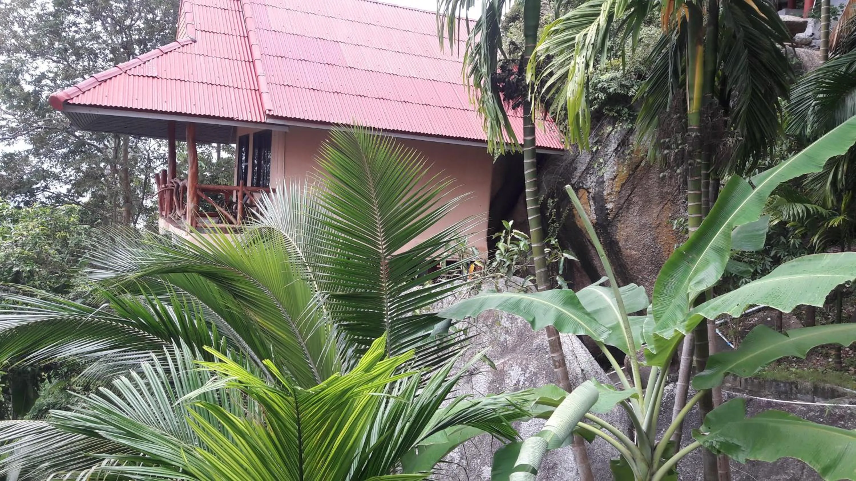Garden in Bang Son Golden View