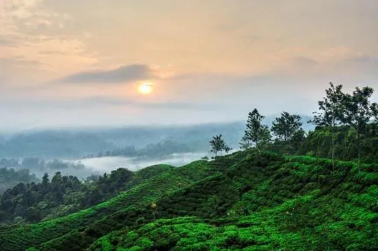 Location in GIO Guesthouse Bogor