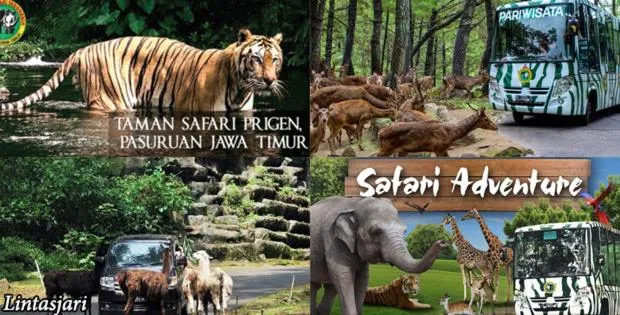 Location in GIO Guesthouse Bogor