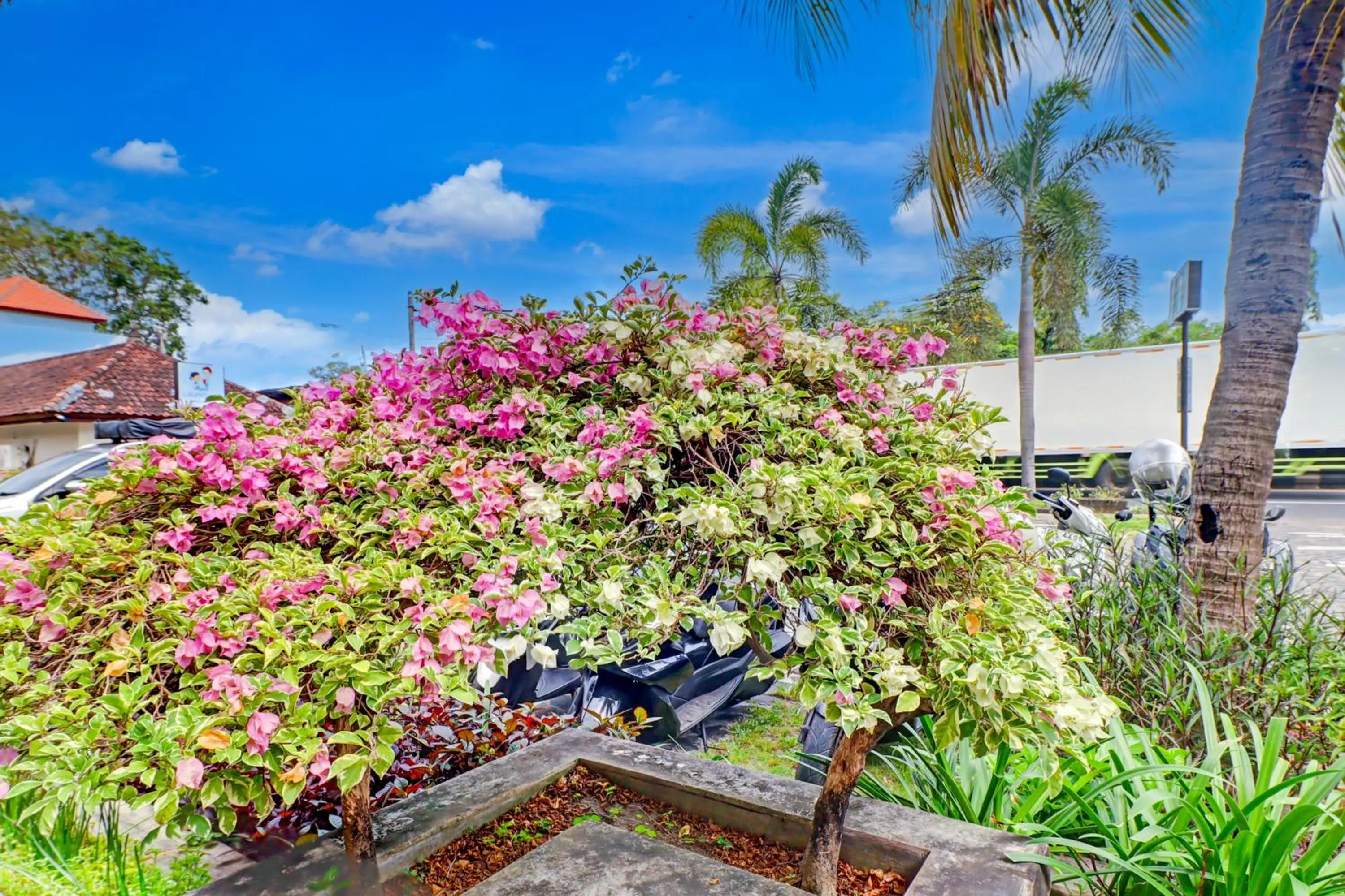 Area and facilities in Collection O Bali near Sanur Beach formerly Akarsa Transit