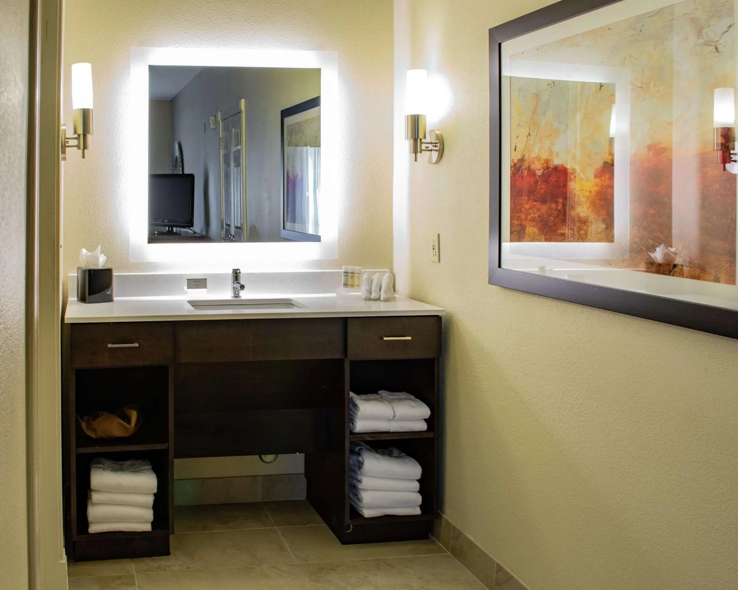 Bathroom in Homewood Suites by Hilton Houston-Woodlands-Shenandoah