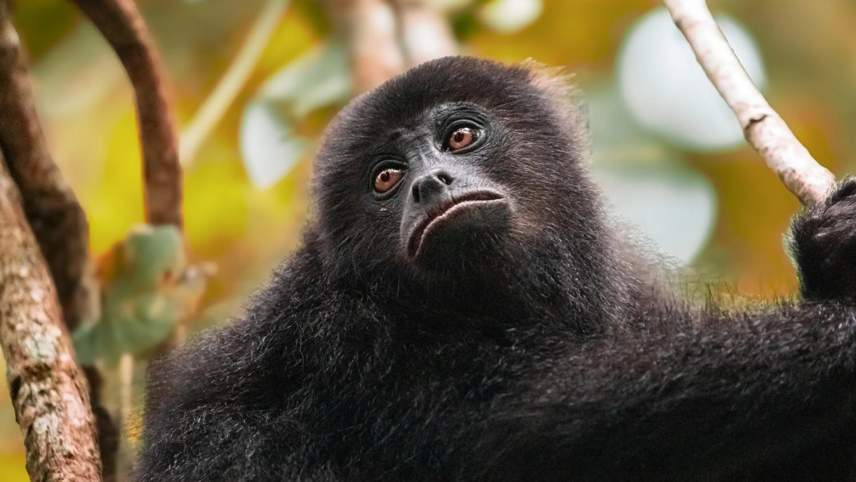 Chan-Kah Resort Village