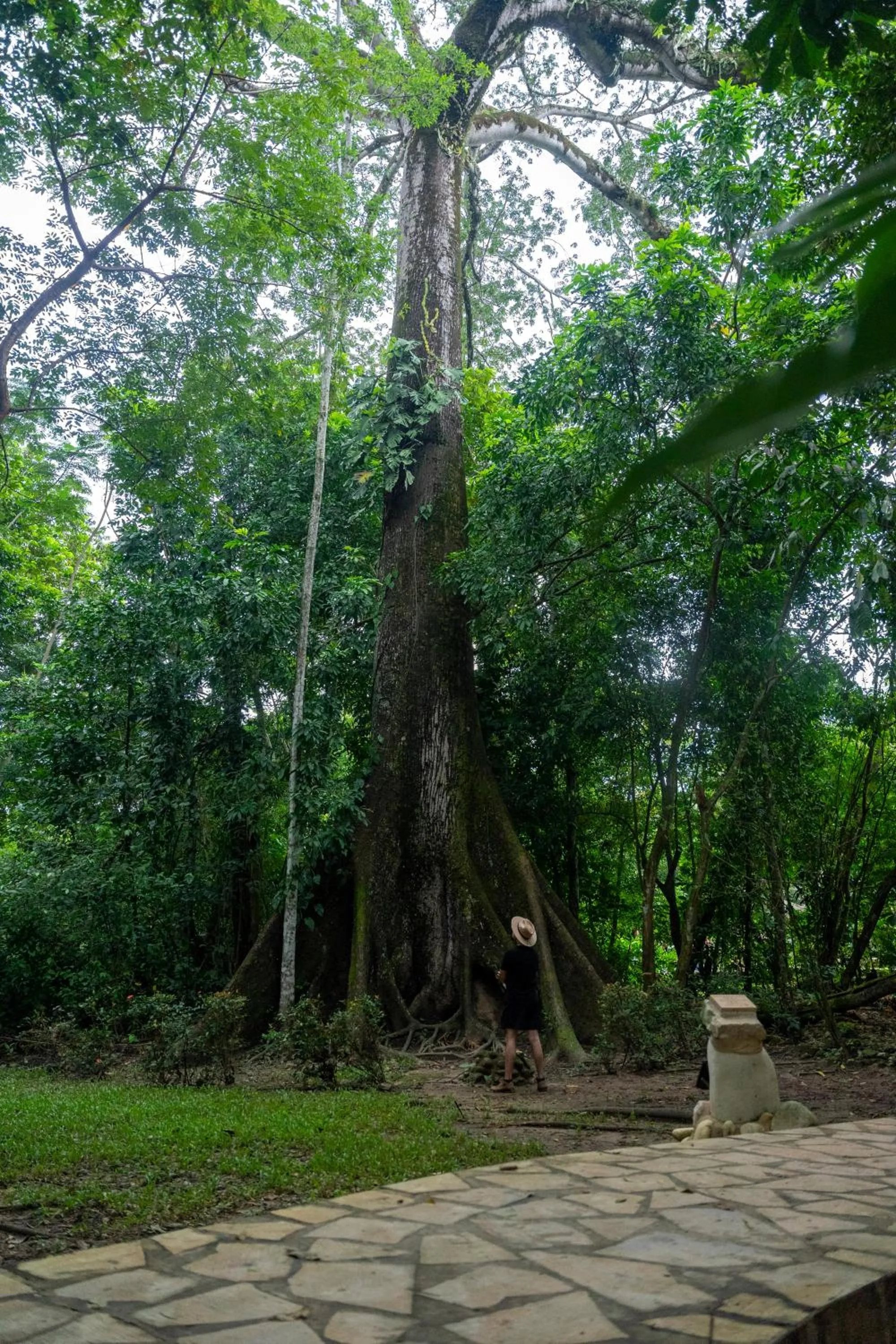 Garden view in Chan-Kah Resort Village