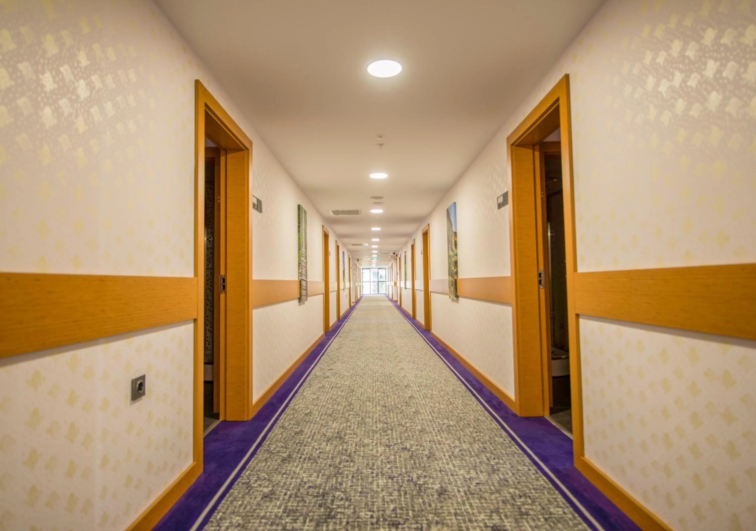 Other in Golden Inn Hotel Uzungöl