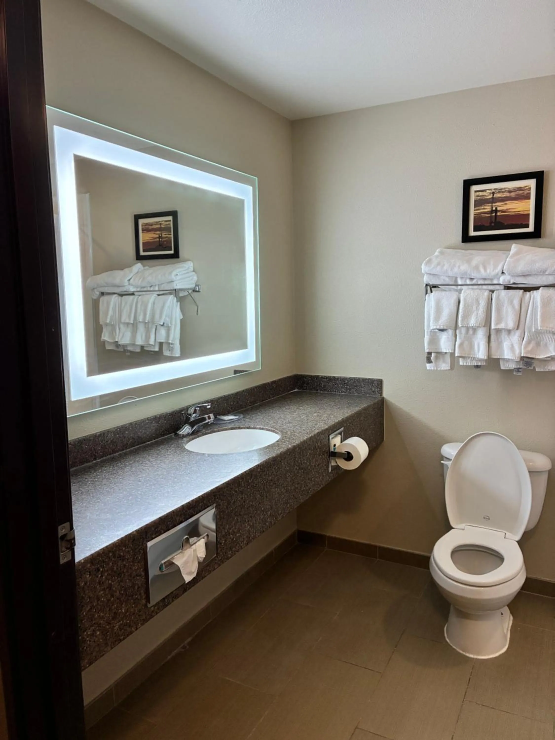 Toilet in Comfort Inn & Suites Sterling