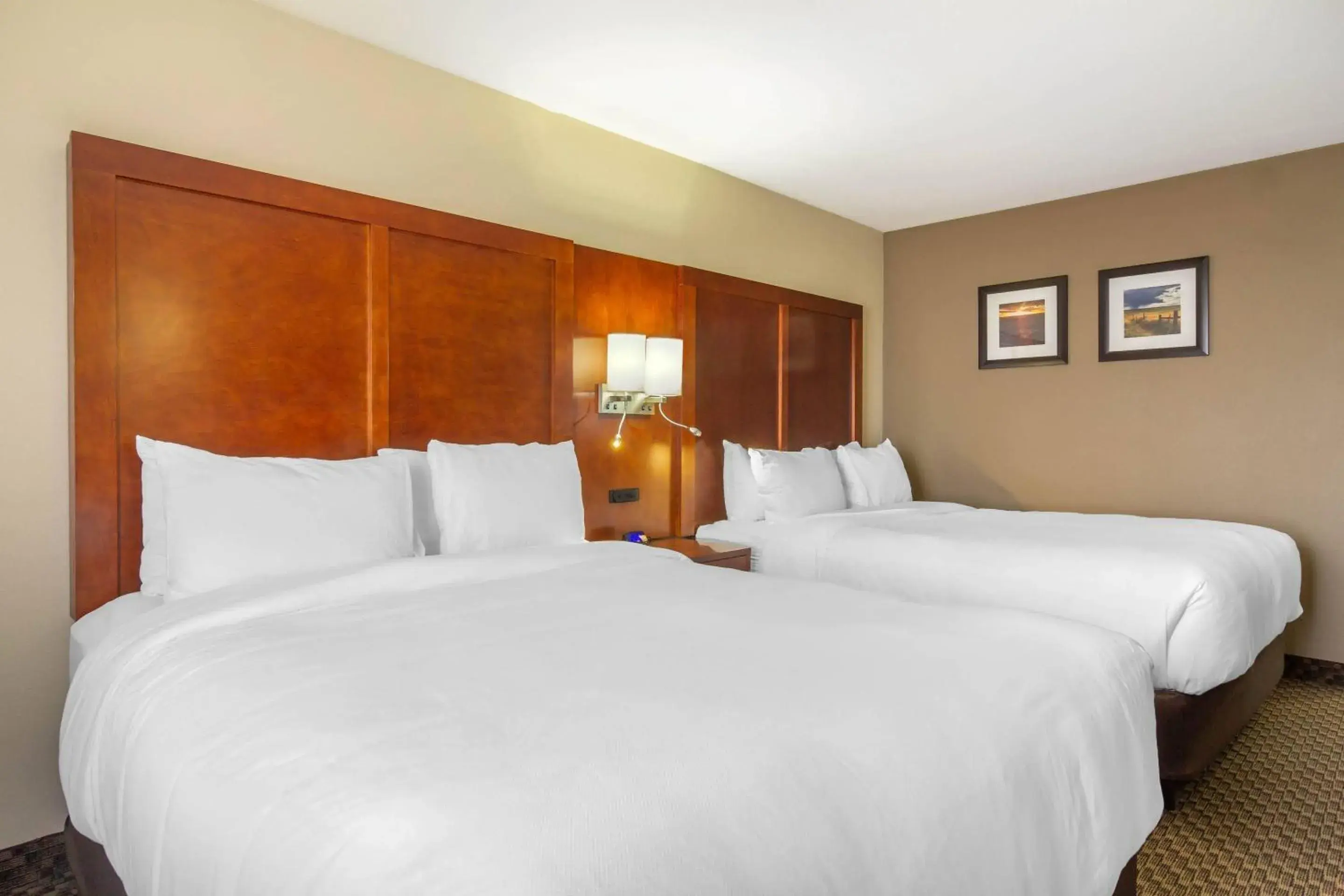 Bedroom, Bed in Comfort Inn & Suites Sterling Bedroom, Bed in Comfort Inn & Suites Sterling