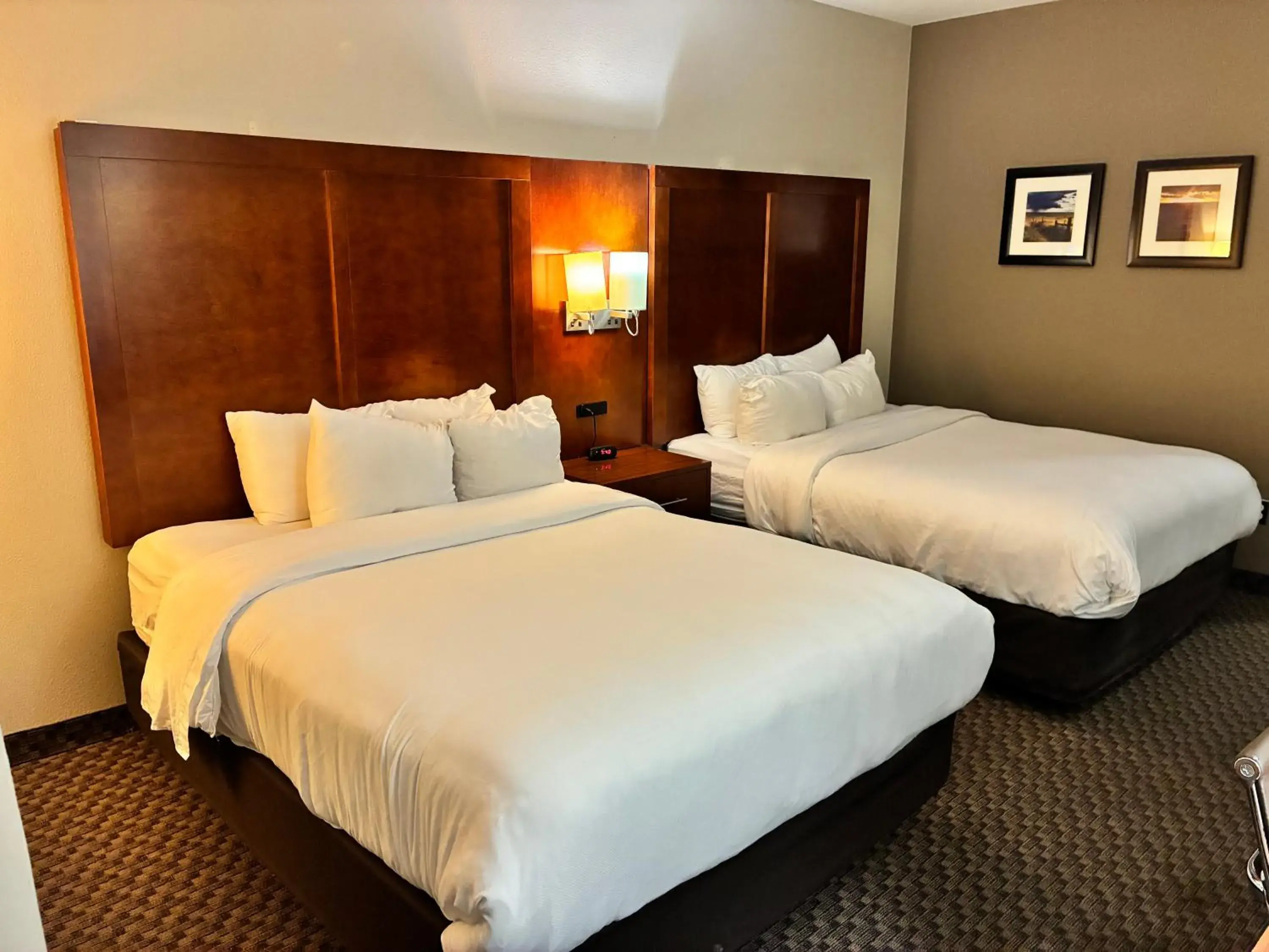 Bed in Comfort Inn & Suites Sterling Bed in Comfort Inn & Suites Sterling