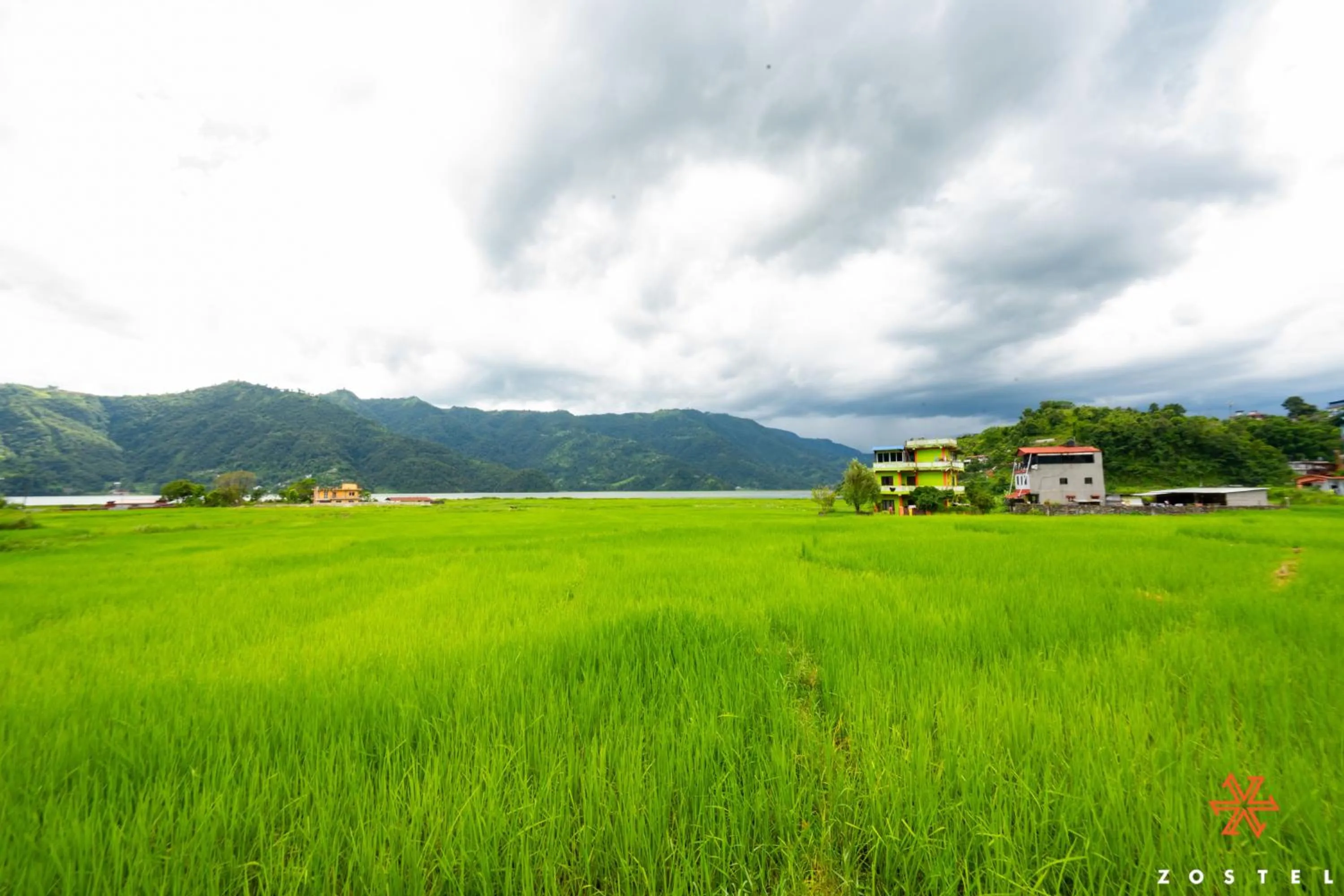Natural landscape in Zostel Pokhara