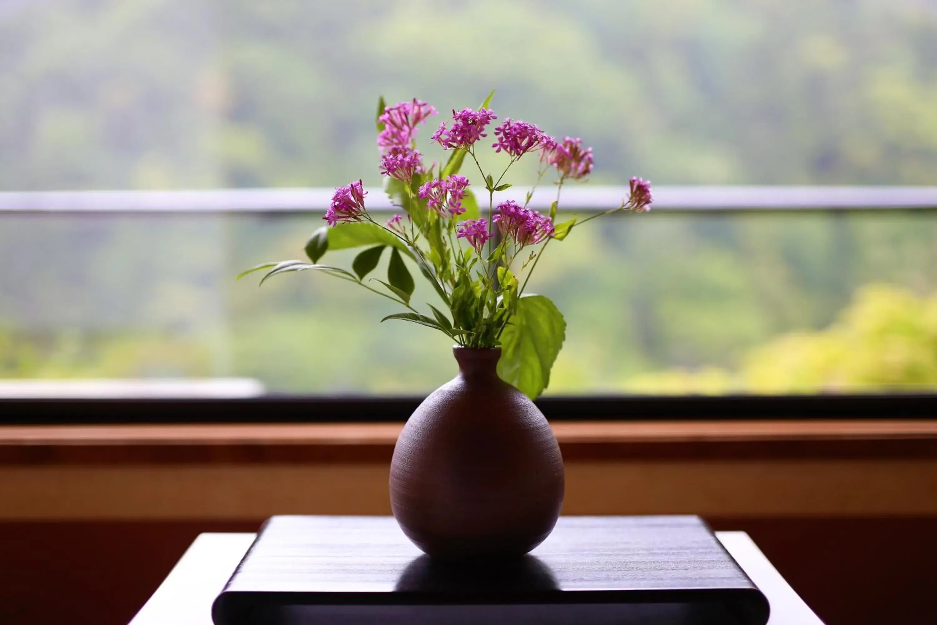 Photo of the whole room in Momijiya Honkan Takaosansou Photo of the whole room in Momijiya Honkan Takaosansou