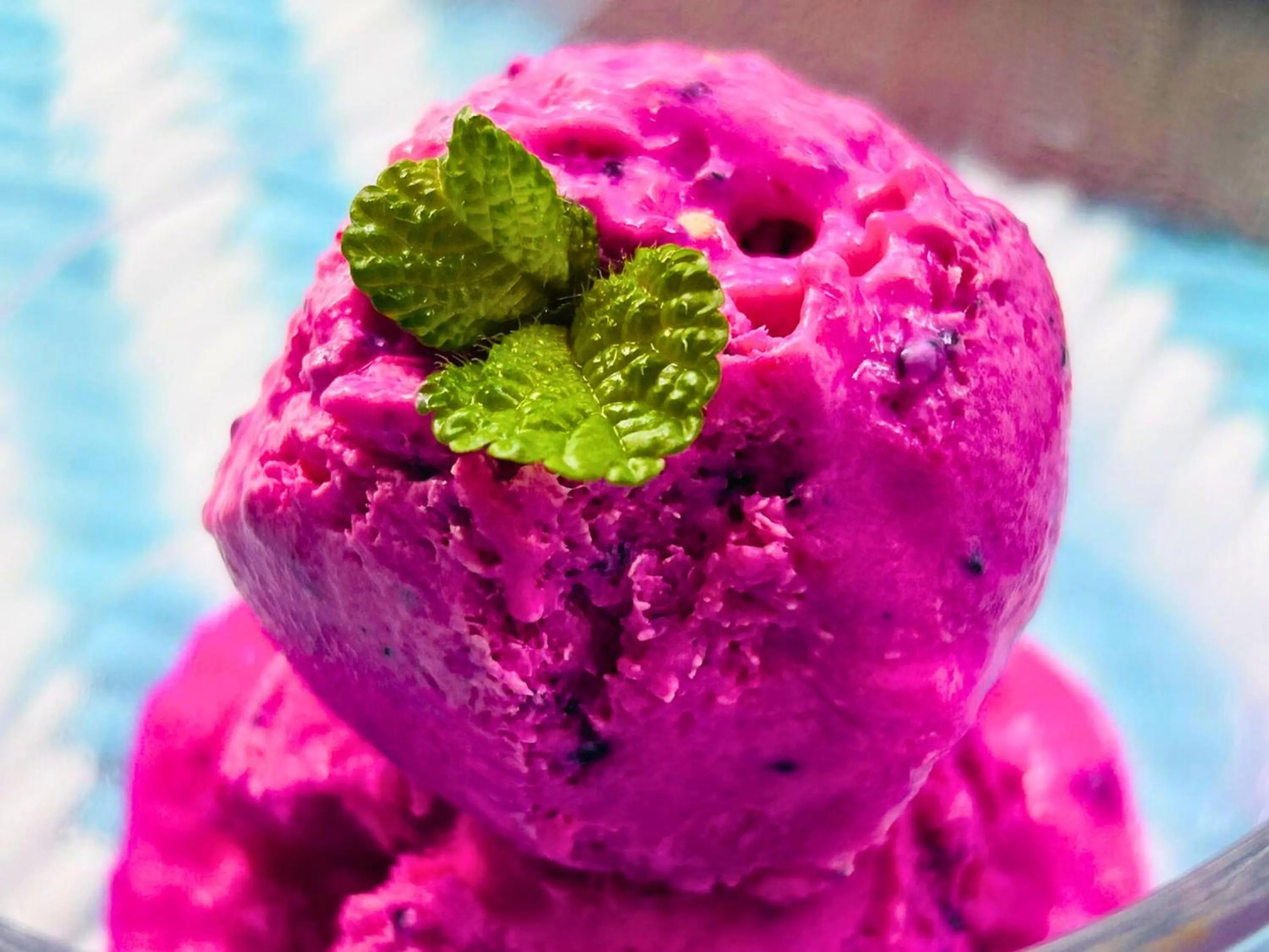 Food in Containers by Eco Hotels