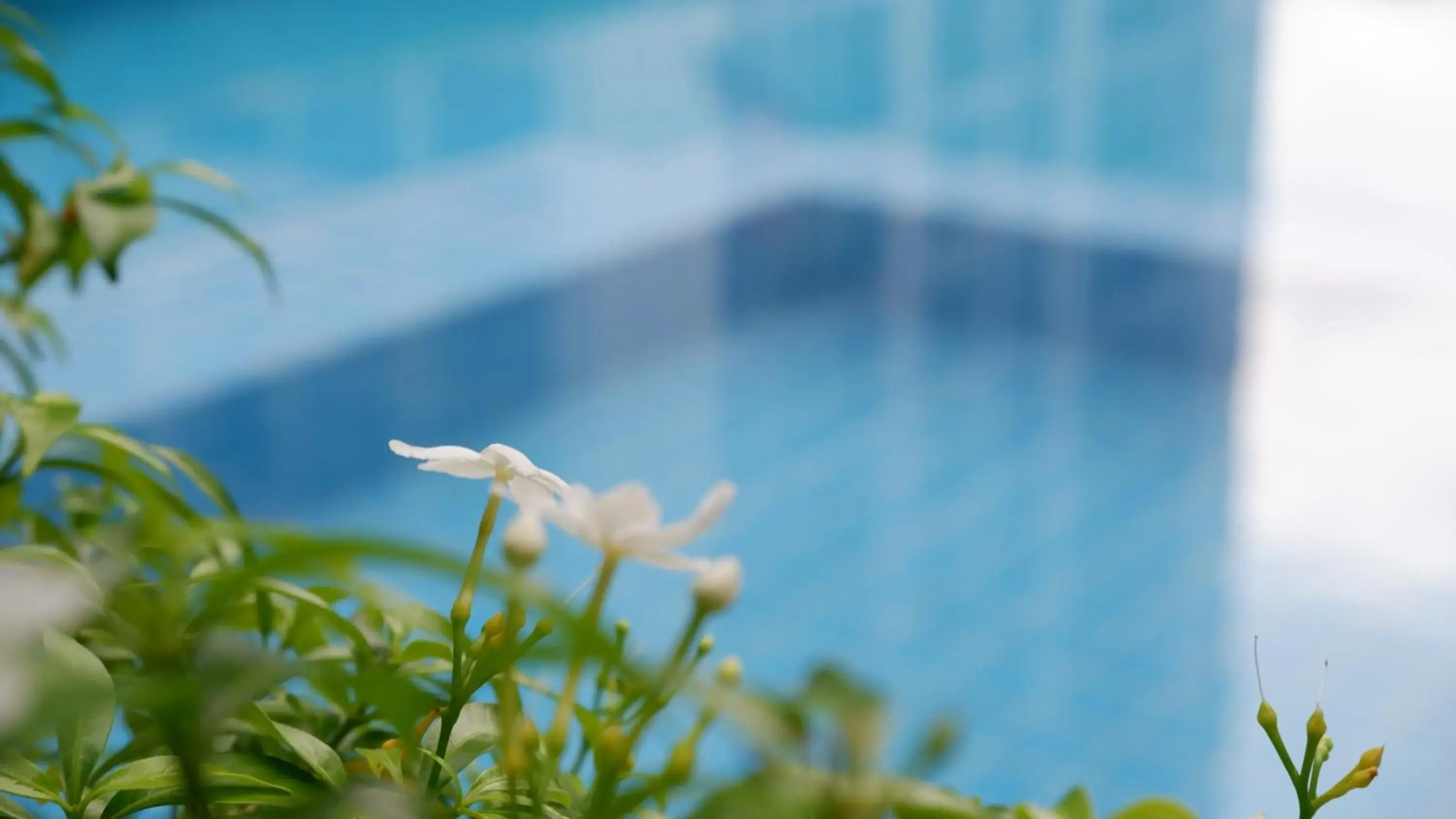 Swimming pool in 18 Residence Swimming pool in 18 Residence