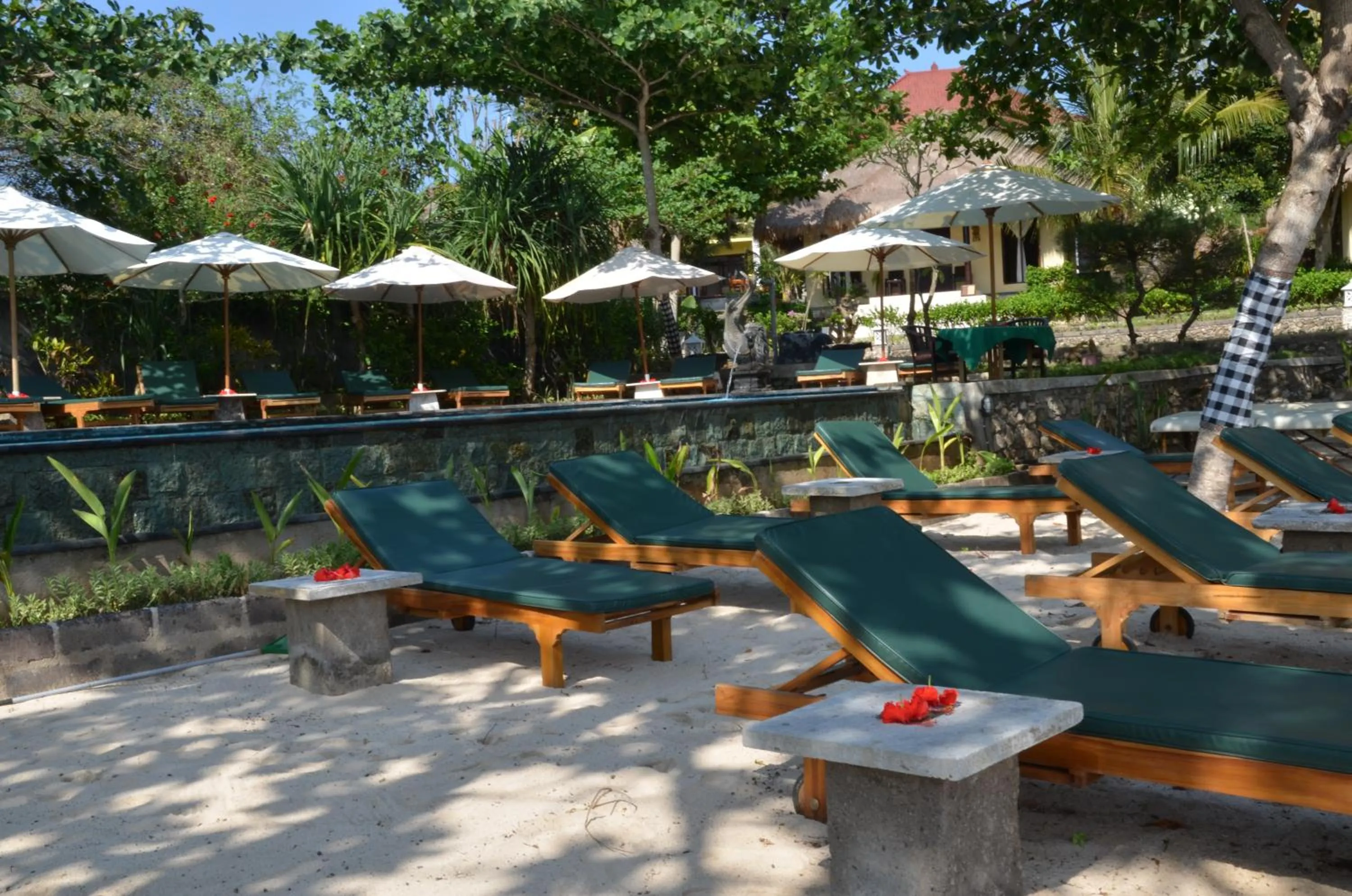 Garden in Tamarind Beach Bungalow