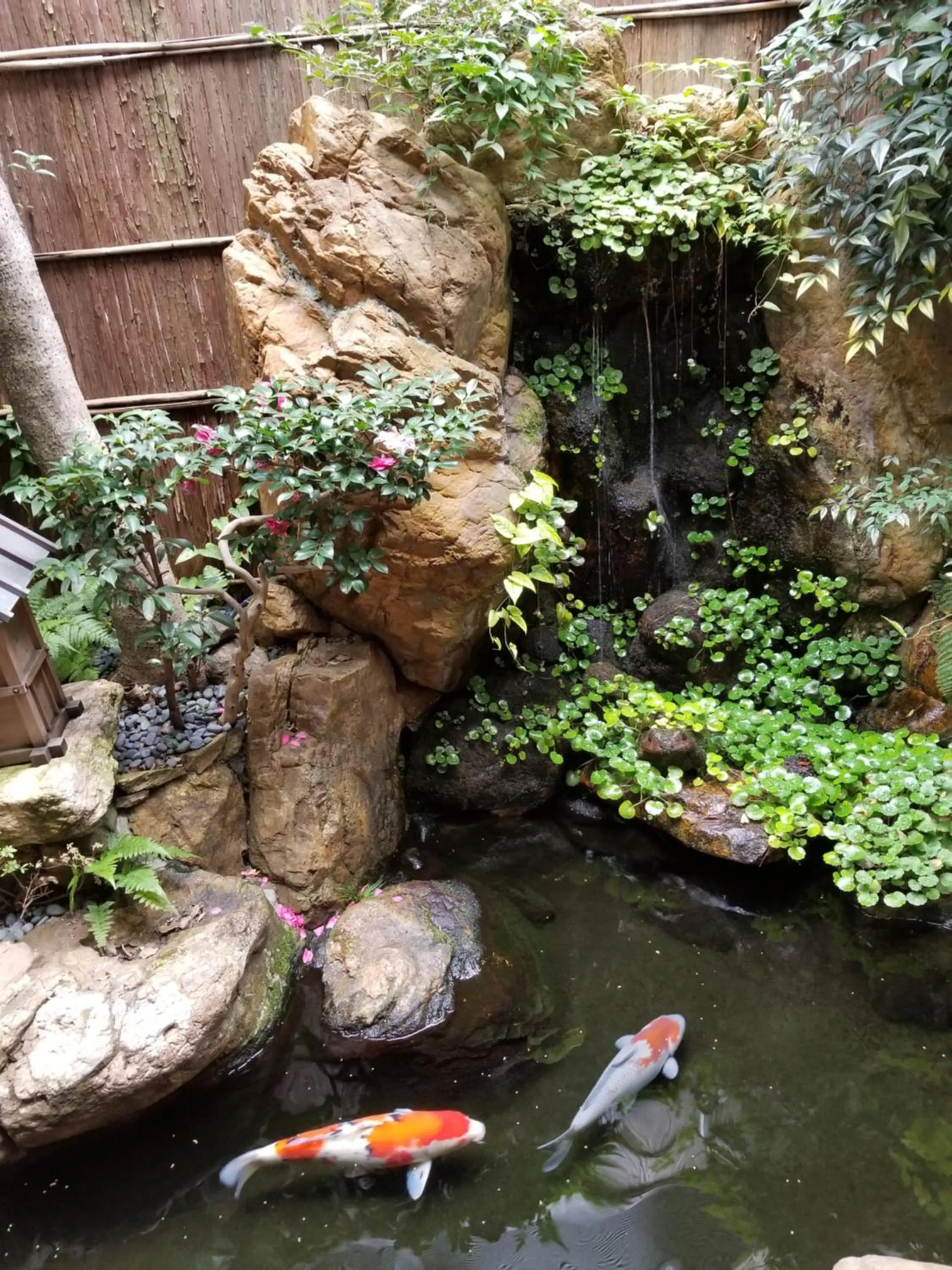 Garden in Ryokan Sawaya Honten