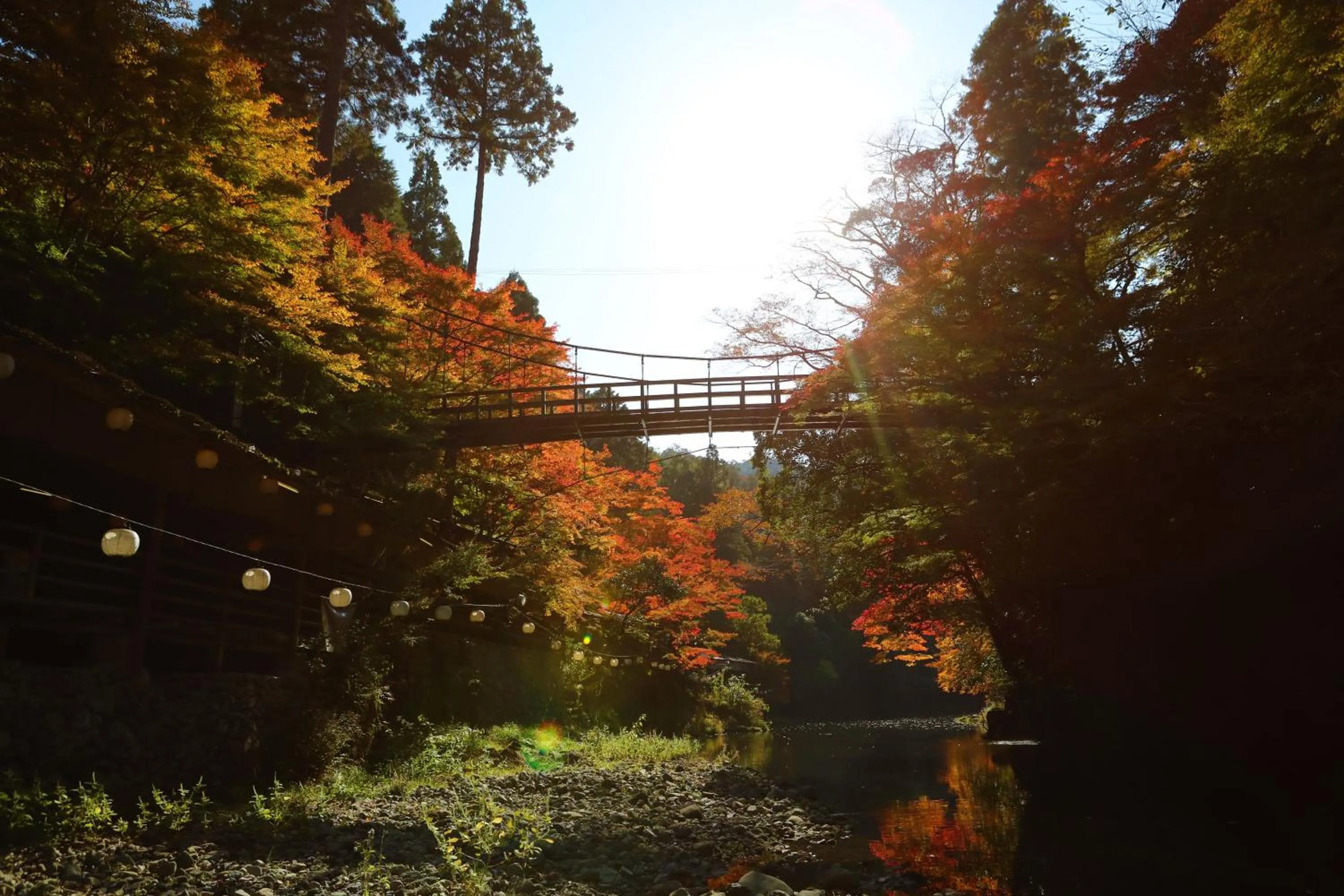 Property building in Momijiya Annex