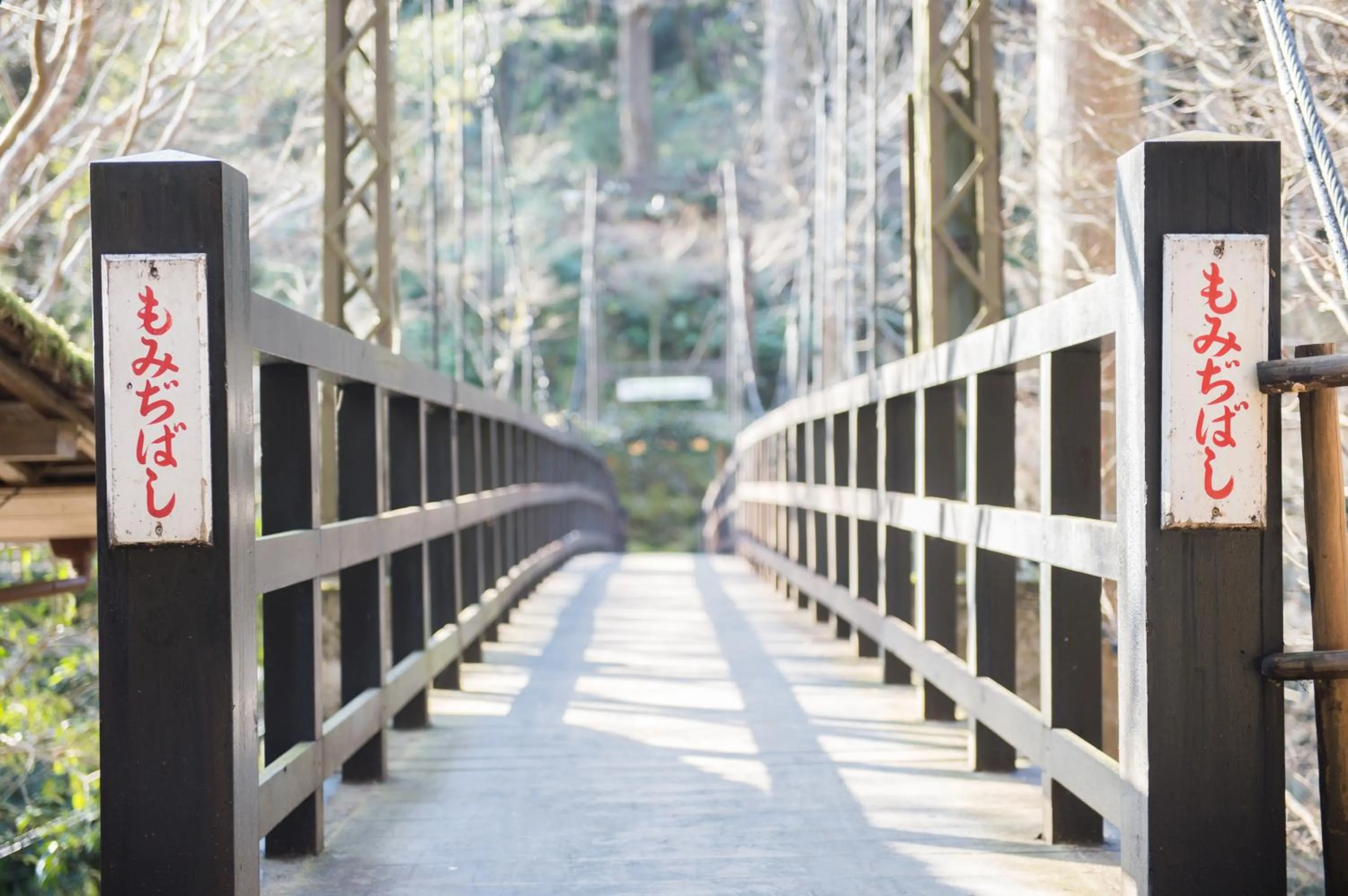 Property building in Momijiya Annex